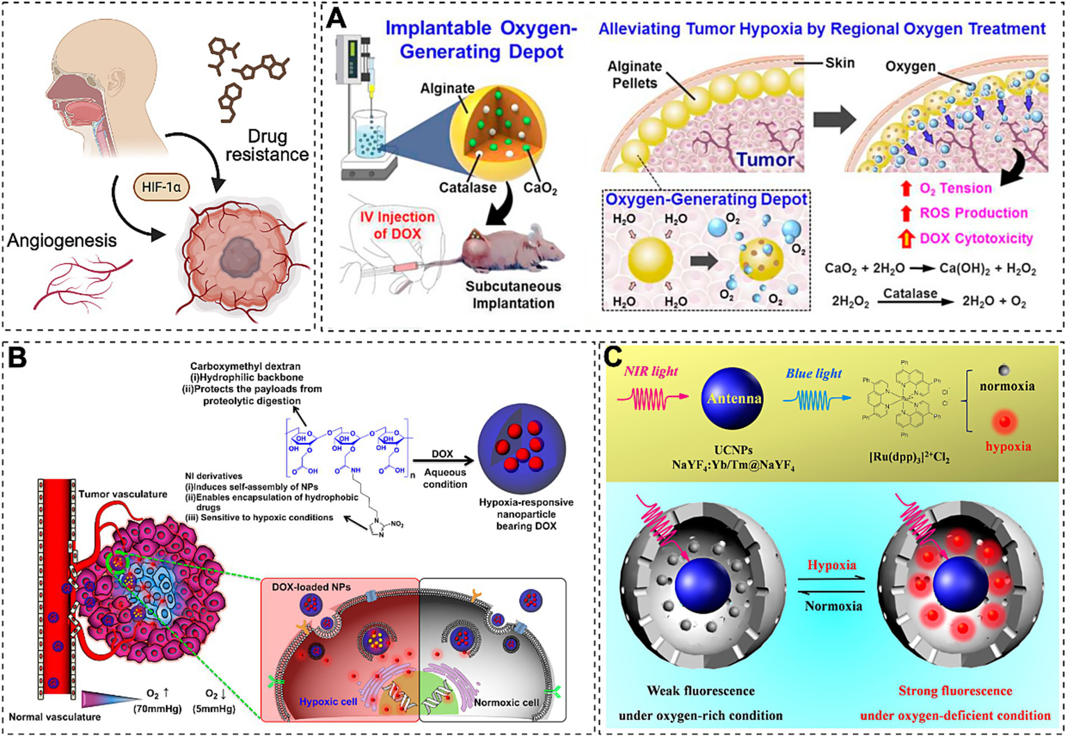 Illustration of tumor treatment using oxygen-generating depots and hypoxia-responsive nanoparticles. Panel A depicts an implantable depot that alleviates tumor hypoxia by producing oxygen and enhancing drug delivery. Panel B describes the use of dextran-based nanoparticles that respond to hypoxic conditions to release drugs and target tumor cells. Panel C illustrates upconversion nanoparticles (UCNPs) and their fluorescence response to hypoxia, showing strong fluorescence in oxygen-deficient conditions and weak fluorescence in oxygen-rich conditions.