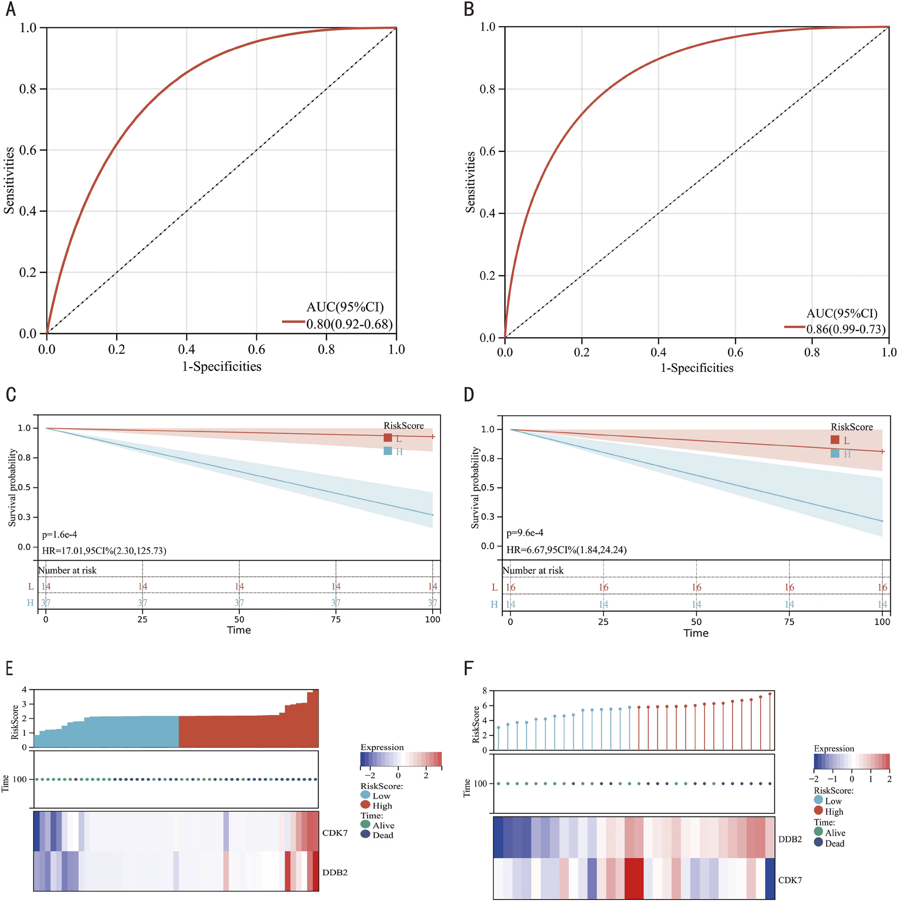 Graphs A and B display ROC curves with AUC values of 0.80 and 0.86, respectively. Graphs C and D present survival probability curves over time, with different risk scores marked by shades. Graphs E and F depict risk score plots with expression levels for genes CDK2, CDK7, and DDB2, indicating differences between low and high risk over time.