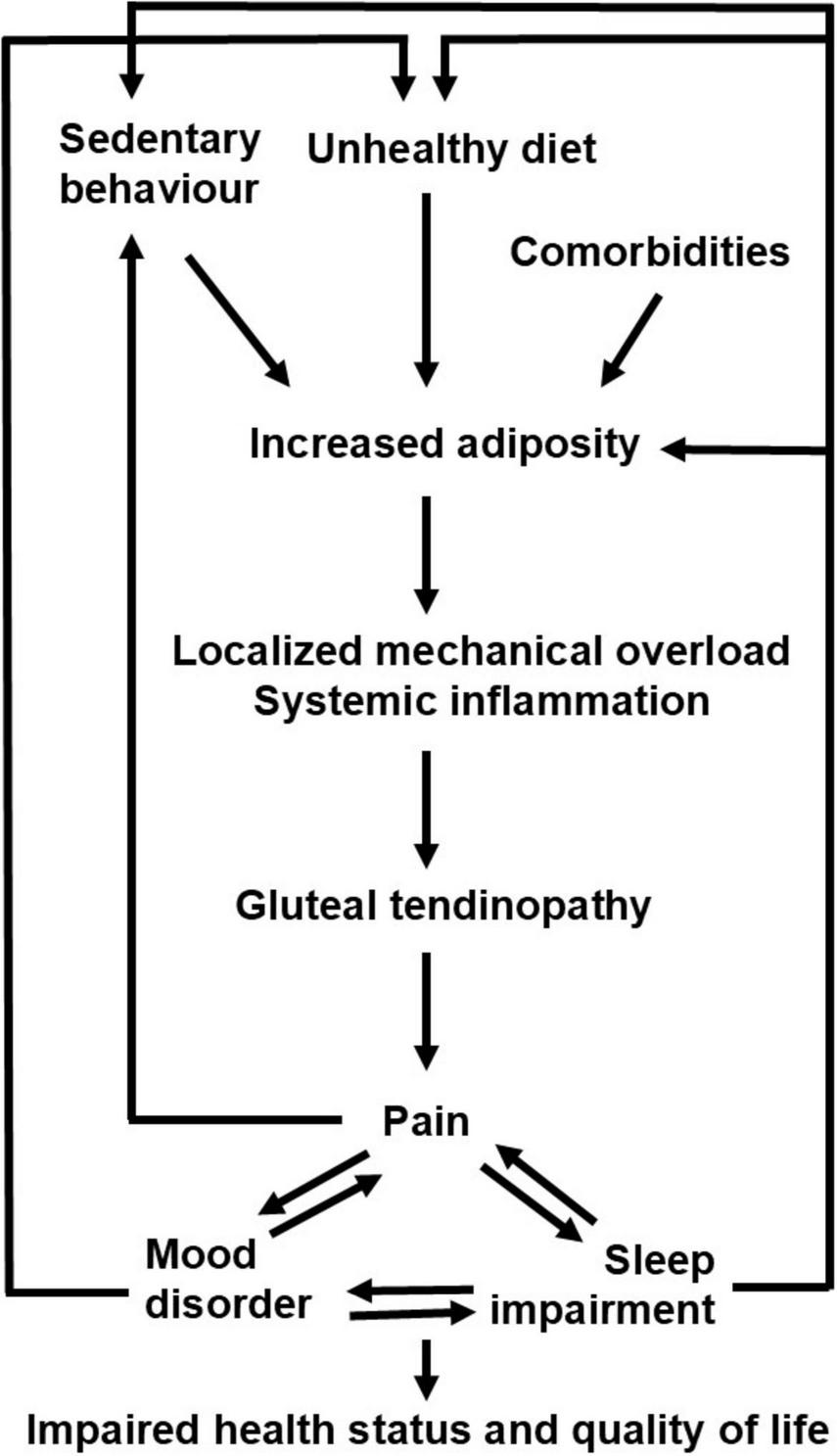 Proposed vicious cycles leading to impaired health status and quality of life in patients with greater trochanteric pain syndrome.