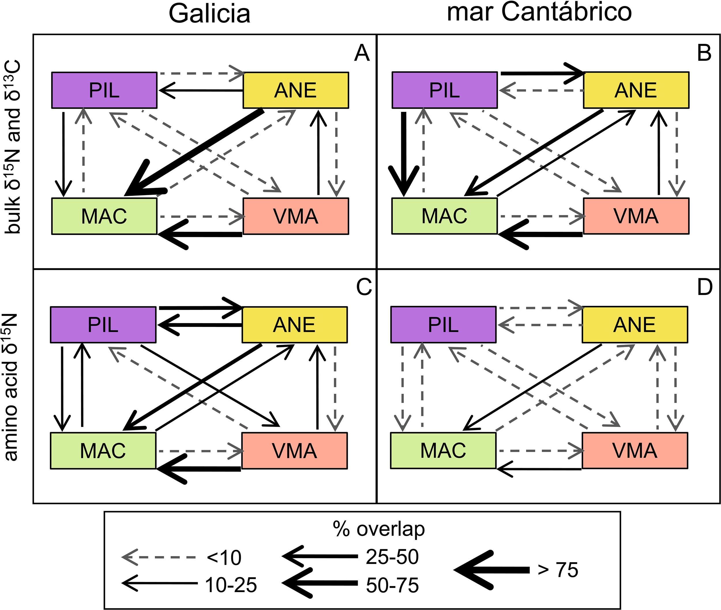 Flowcharts depict isotopic overlaps among species in Galicia and mar Cantábrico. Panels A and B show “bulk δ15N and δ13C"; panels C and D show “amino acid δ15N.” Arrows indicate percentage overlap: dashed for less than ten percent and increasing in thickness up to greater than seventy-five percent. Species are labeled PIL, ANE, MAC, and VMA.