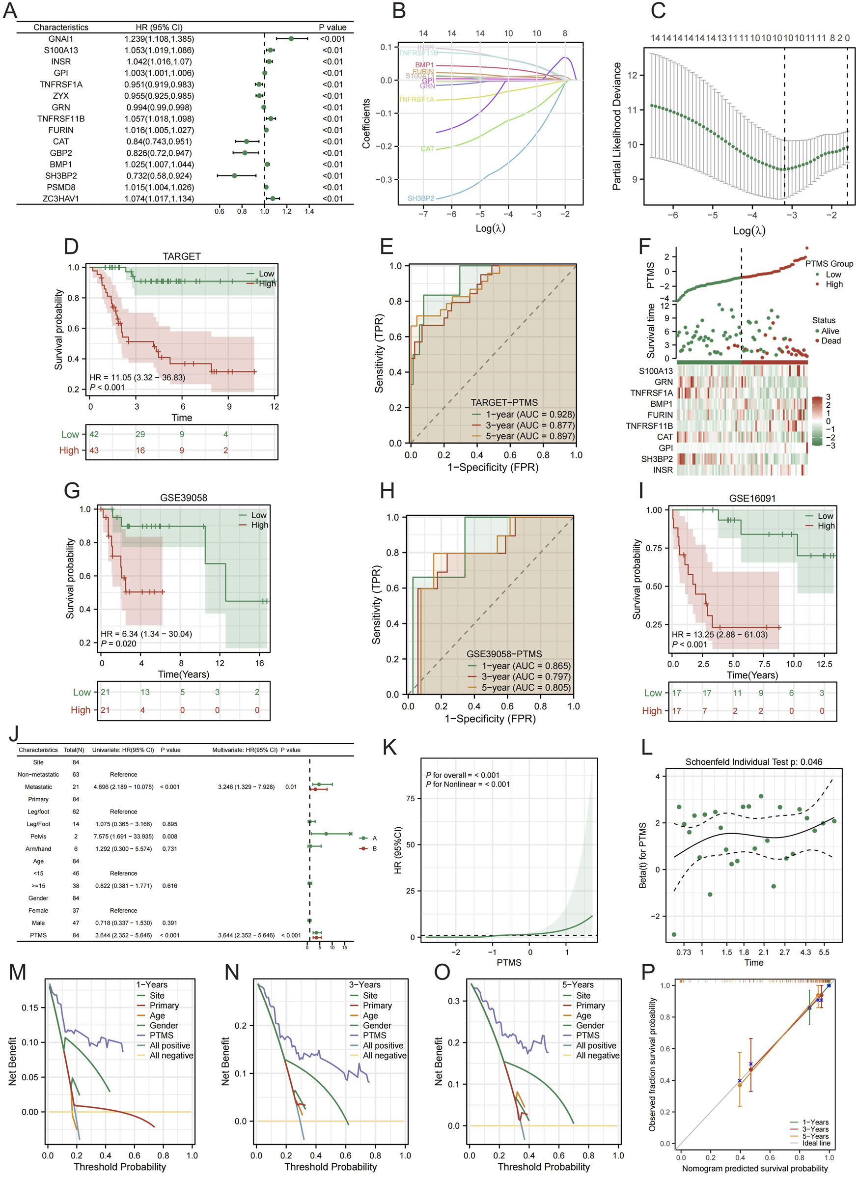 A complex figure containing multiple panels related to survival analysis and predictive modeling. Panel A shows a forest plot with hazard ratios; B and C illustrate coefficient profiles and likelihoods; D, G, I show Kaplan-Meier survival curves for different datasets; E and H depict ROC curves for model performance; F features a heatmap and survival plot; J contains another forest plot; K has a plot of hazard ratios over a variable; L shows Schoenfeld residuals; M, N, O display decision curve analyses for different time frames; P shows observed versus predicted survival probability.