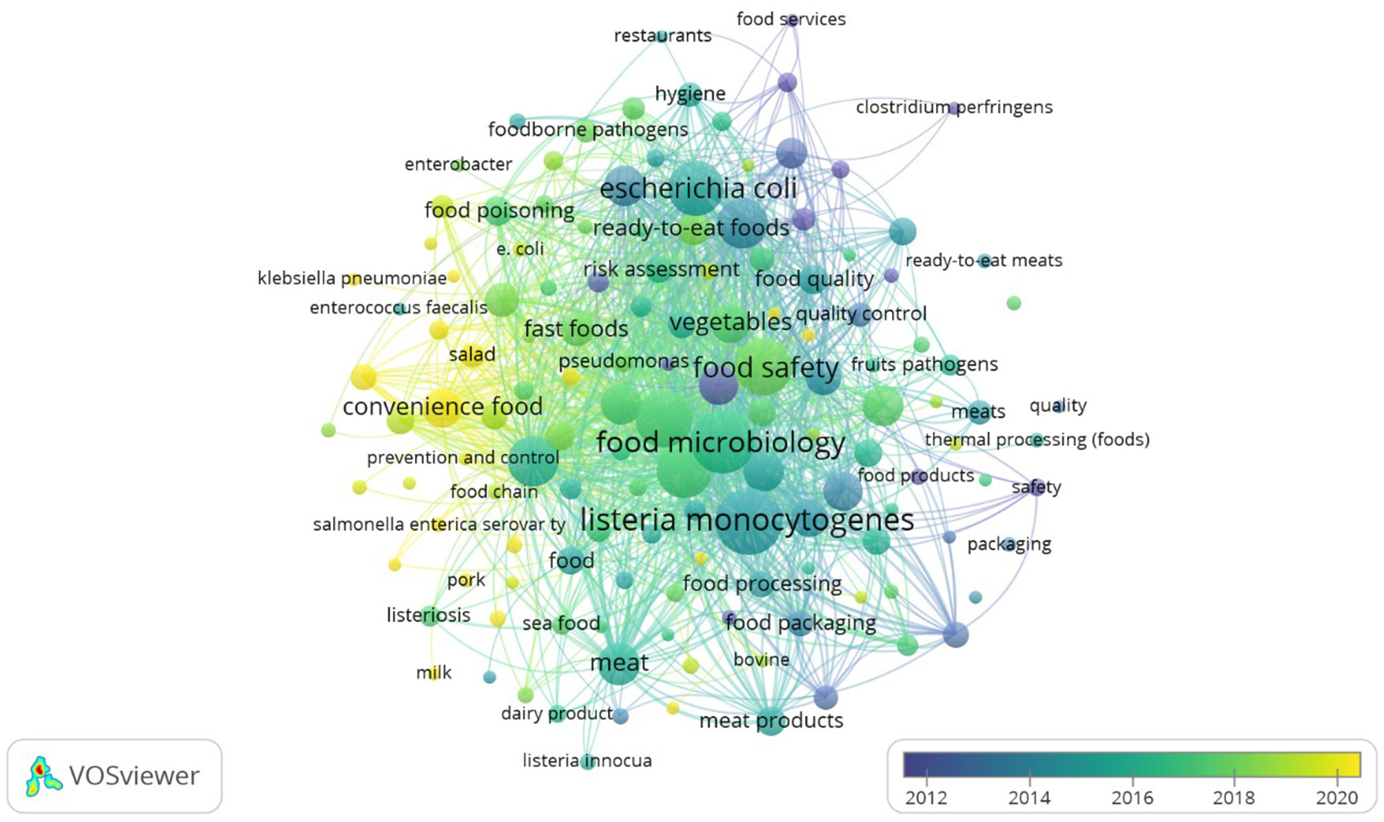 Network diagram created with VOSviewer showing clusters of terms related to food safety and microbiology. Larger nodes represent more significant terms like “food microbiology,” “listeria monocytogenes,” and “food safety,” which are linked by colored lines indicating connections and relationships.