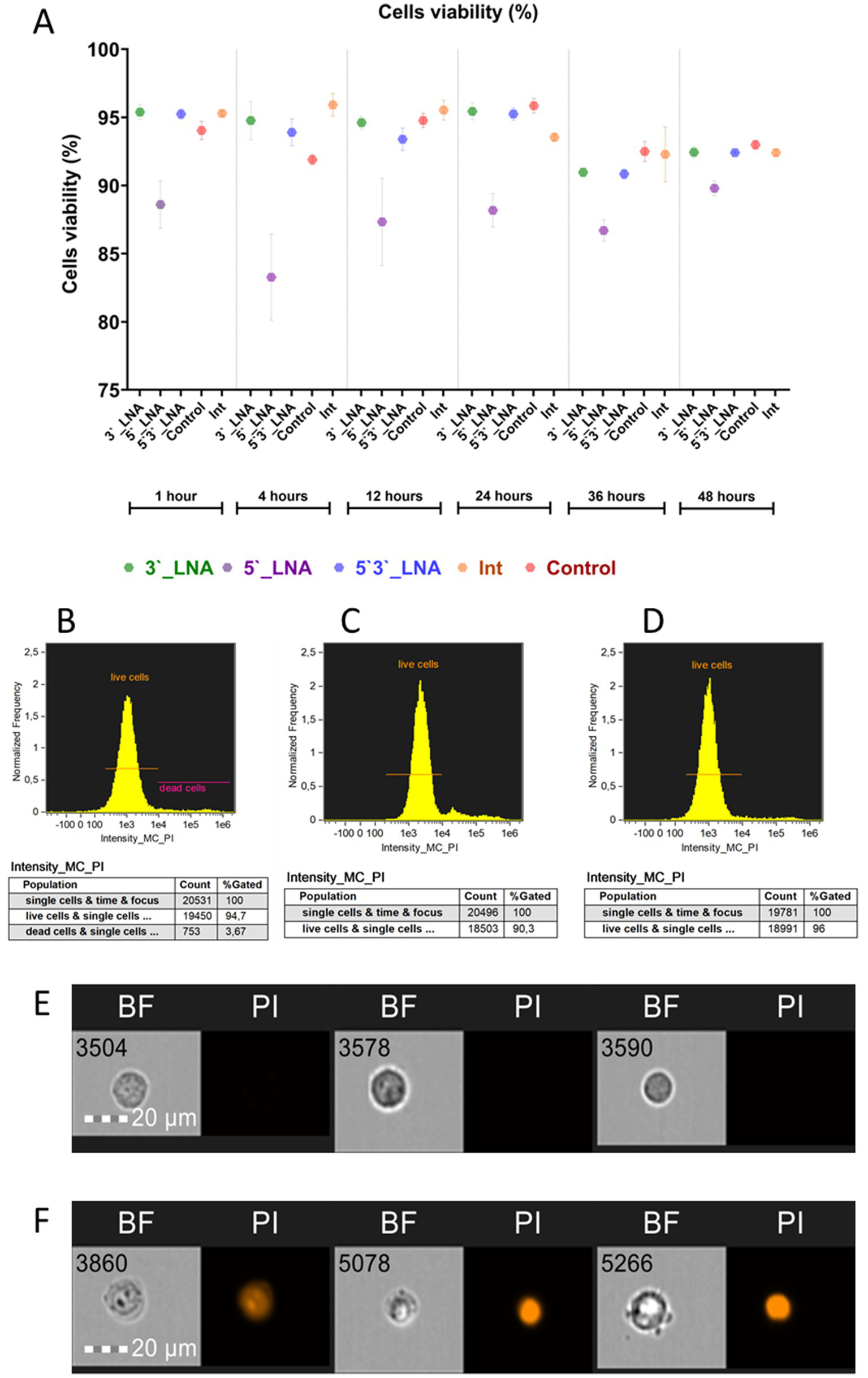 Graph A shows cell viability percentages for different treatments and time points, with color-coded data points. Charts B, C, and D display histograms of live and dead cell frequencies with corresponding intensity measurements. Tables below each histogram provide cell population counts and percentages. Images E and F show cells under bright-field (BF) and propidium iodide (PI) staining, indicating cell viability, with a scale bar of twenty micrometers.
