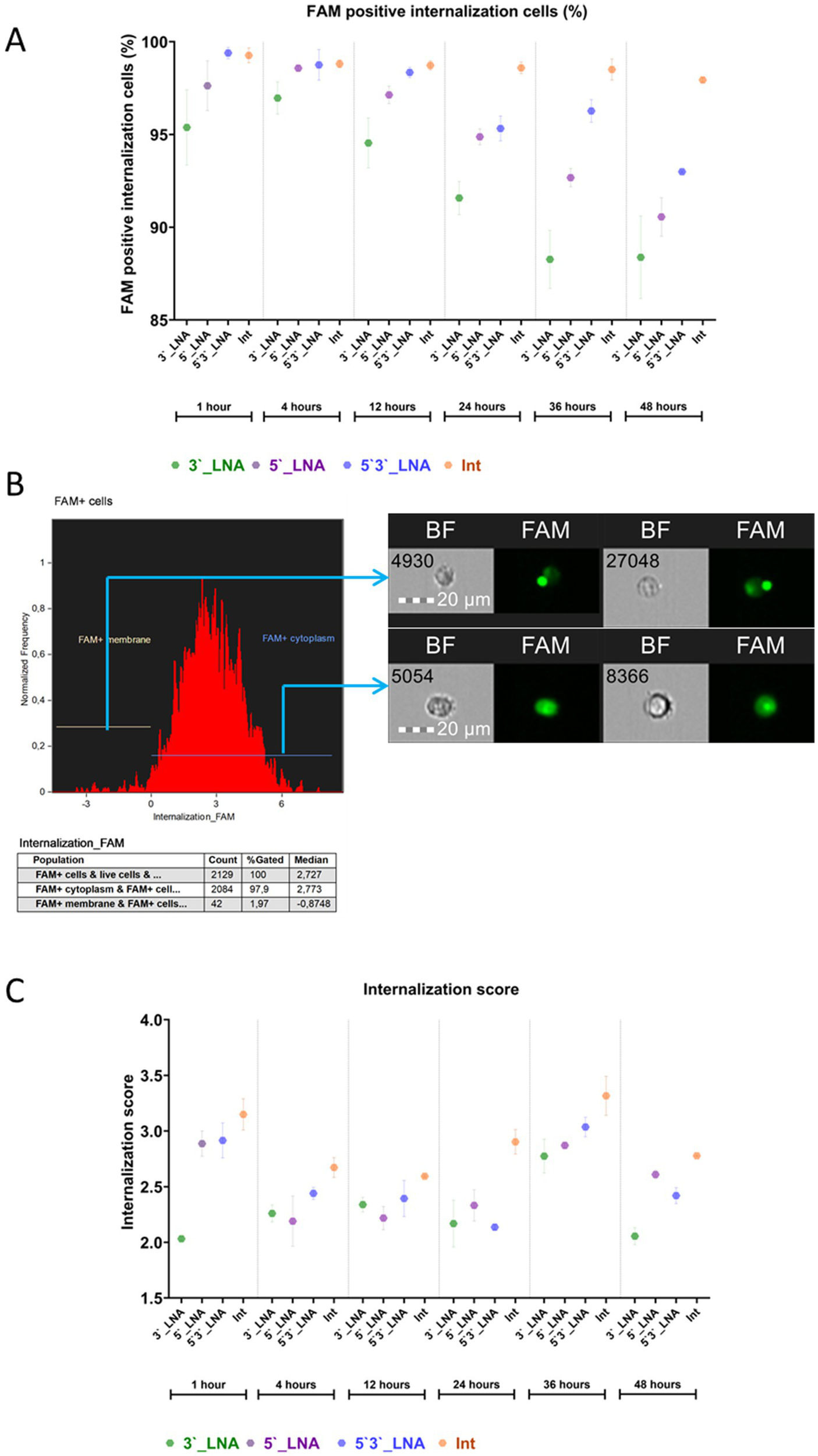 Three-part composite image. A: Line chart showing FAM positive internalization percentages for various conditions over time from 1 to 48 hours. B: Histogram and cell images indicating FAM internalization in membrane and cytoplasm. Includes a data table for FAM-positive counts. C: Graph depicting internalization scores for different conditions over the same time periods.