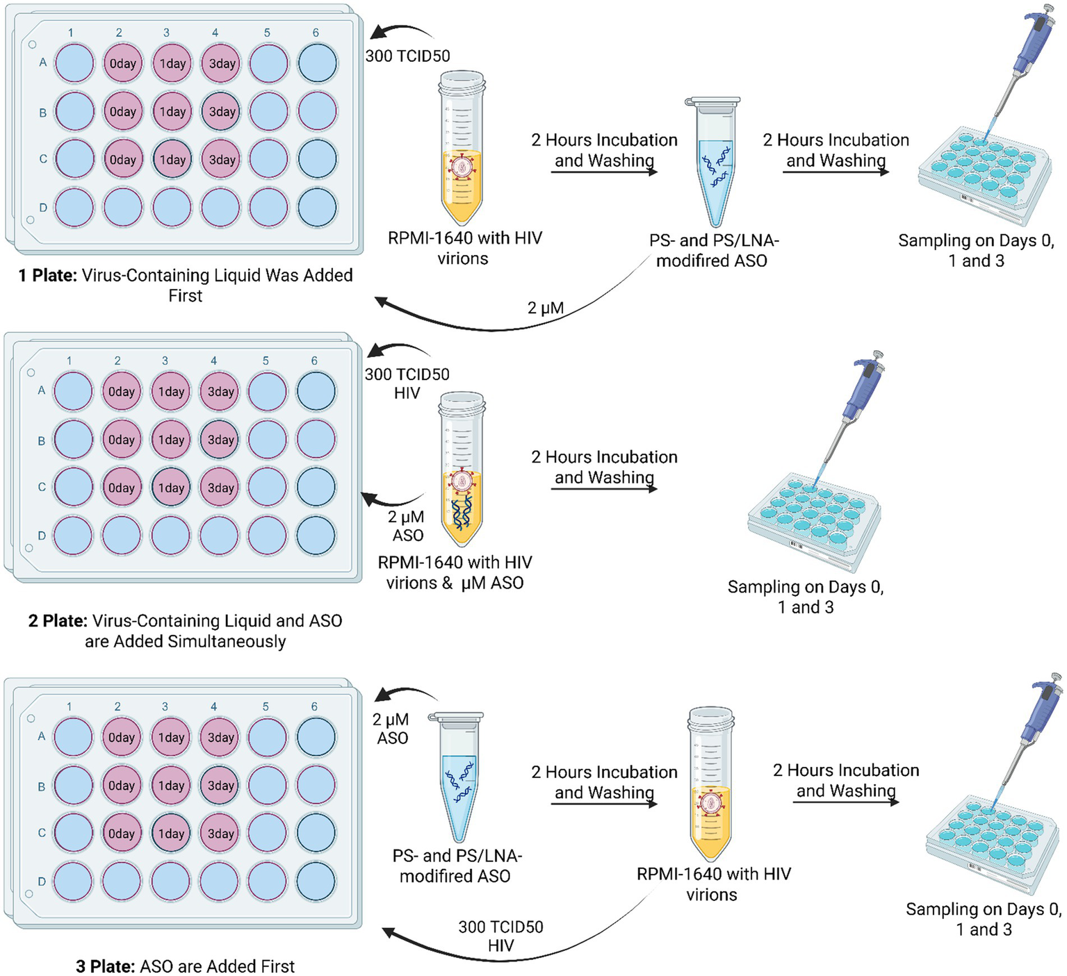 Diagram illustrating three experimental setups for adding HIV virions and ASO to culture plates. In the first setup, virus is added before ASO. In the second, both are added simultaneously. In the third, ASO is added before the virus. Each setup involves two hours of incubation and washing, followed by sampling on days zero, one, and three.