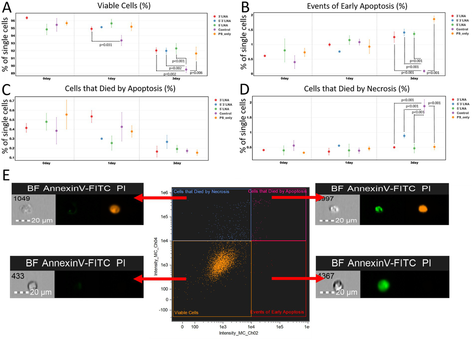 Charts and images display cell viability, apoptosis, and necrosis percentages over three days, using different treatments (3' LNA, 5' LNA, etc.). Graphs (A-D) show viability, early apoptosis events, apoptotic cell death, and necrotic cell death respectively. Significant differences are marked. Image (E) includes fluorescence microscopy of cells stained with Annexin V-FITC and PI, indicating necrosis and apoptosis. Cells are shown with bright field, Annexin V-FITC, and PI channels. The scatter plot in E categorizes cells into viable, early apoptosis, necrosis, and apoptosis zones, using intensity metrics for classification.