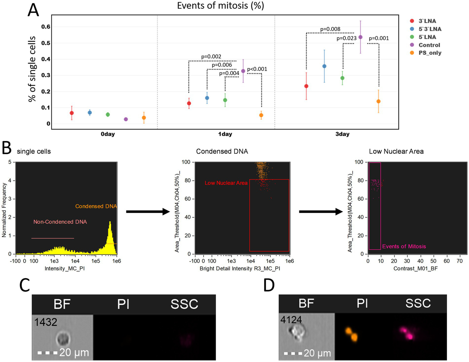 A composite image includes multiple panels. Panel A shows a chart of mitosis events over three days for different samples, with significant differences marked by p-values. Panel B contains flow cytometry plots highlighting DNA condensation in single cells, with arrows indicating a progression to low nuclear area and mitosis events. Panels C and D depict microscopic images of cells, displaying brightfield (BF), propidium iodide (PI), and side scatter (SSC) views, with a scale bar and cell identifiers included. The images display condensed chromatin under PI staining.