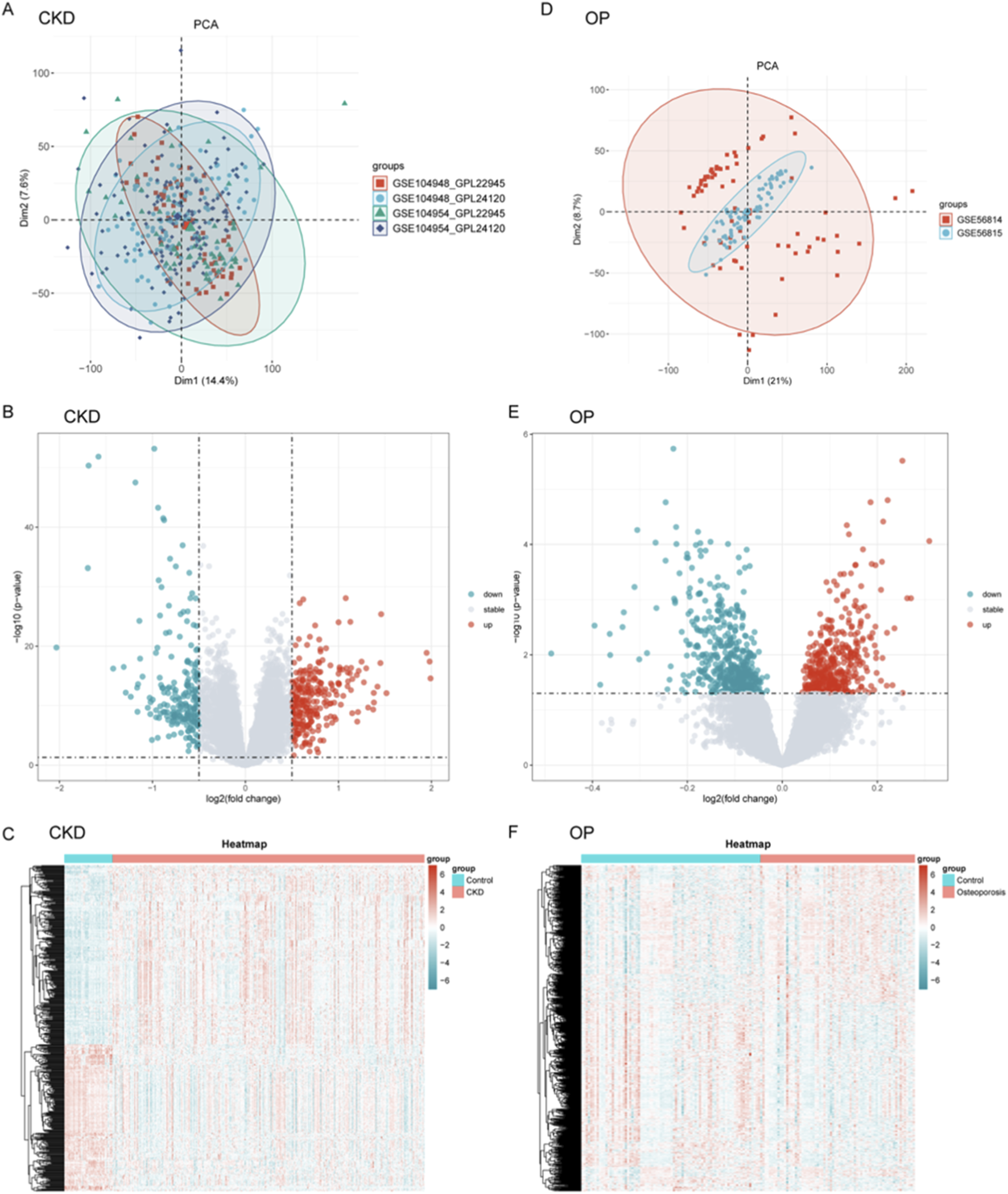 The image consists of six panels comparing Chronic Kidney Disease (CKD) and Osteoporosis (OP) data using PCA plots, volcano plots, and heatmaps. Panels A and D show PCA plots for CKD and OP with different groupings. Panels B and E display volcano plots highlighting significant gene expression changes, with points indicating upregulated, downregulated, and stable genes. Panels C and F present heatmaps illustrating gene expression patterns, showing differences between control and disease states for CKD and OP. Each plot includes labeled axes and legends for clarity.