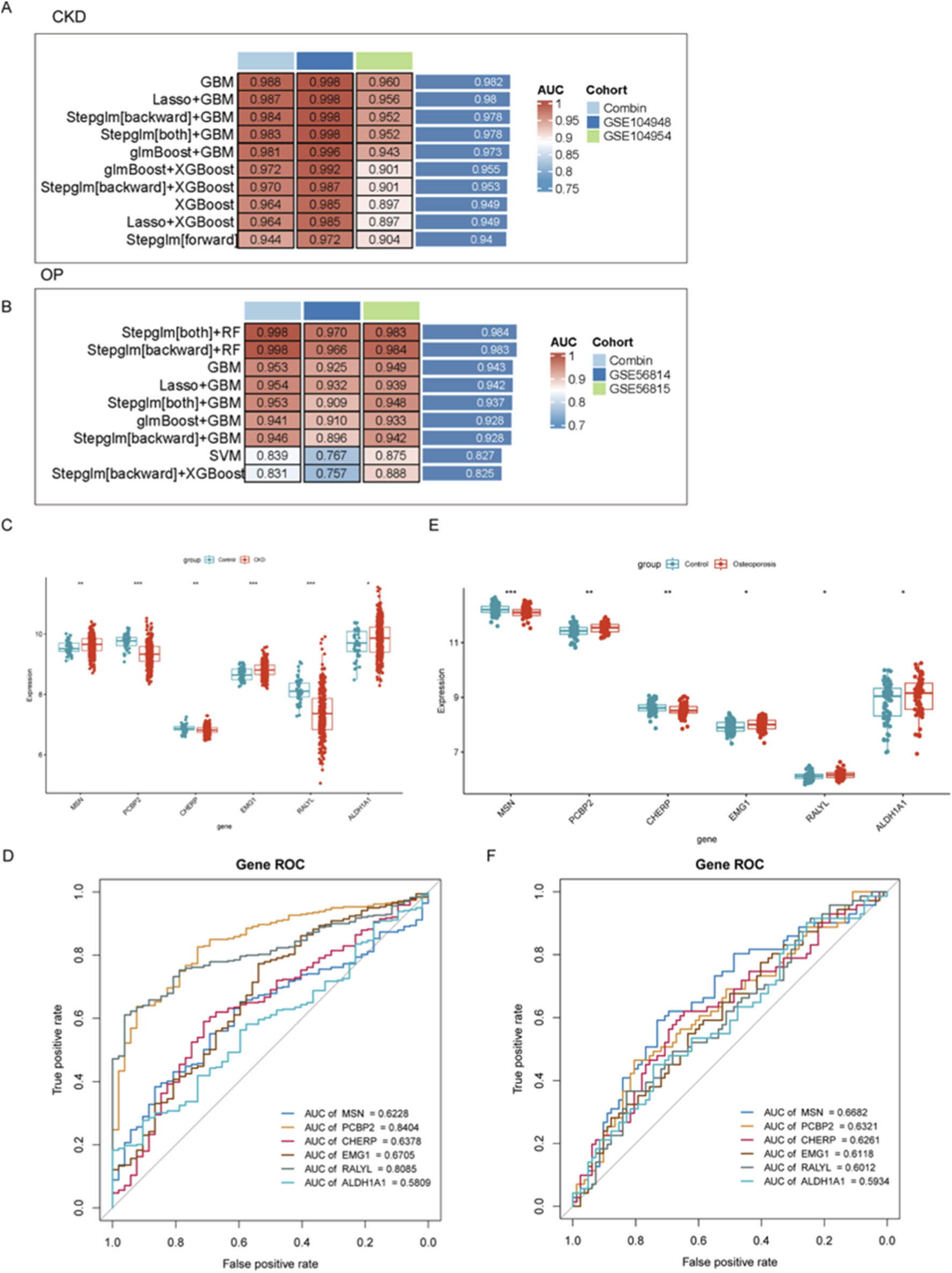 Charts and tables compare different gene expression and performance metrics in CKD and OP cohorts using various models. Parts A and B show heatmaps of AUC values for distinct models. Part C depicts a box plot of gene expression levels in control and osteoporosis groups. Part D presents ROC curves for gene performance in CKD, while Part E shows a similar box plot for osteoporosis. Part F includes ROC curves for gene performance in OP. The analysis evaluates model efficacy for gene detection in disease contexts.