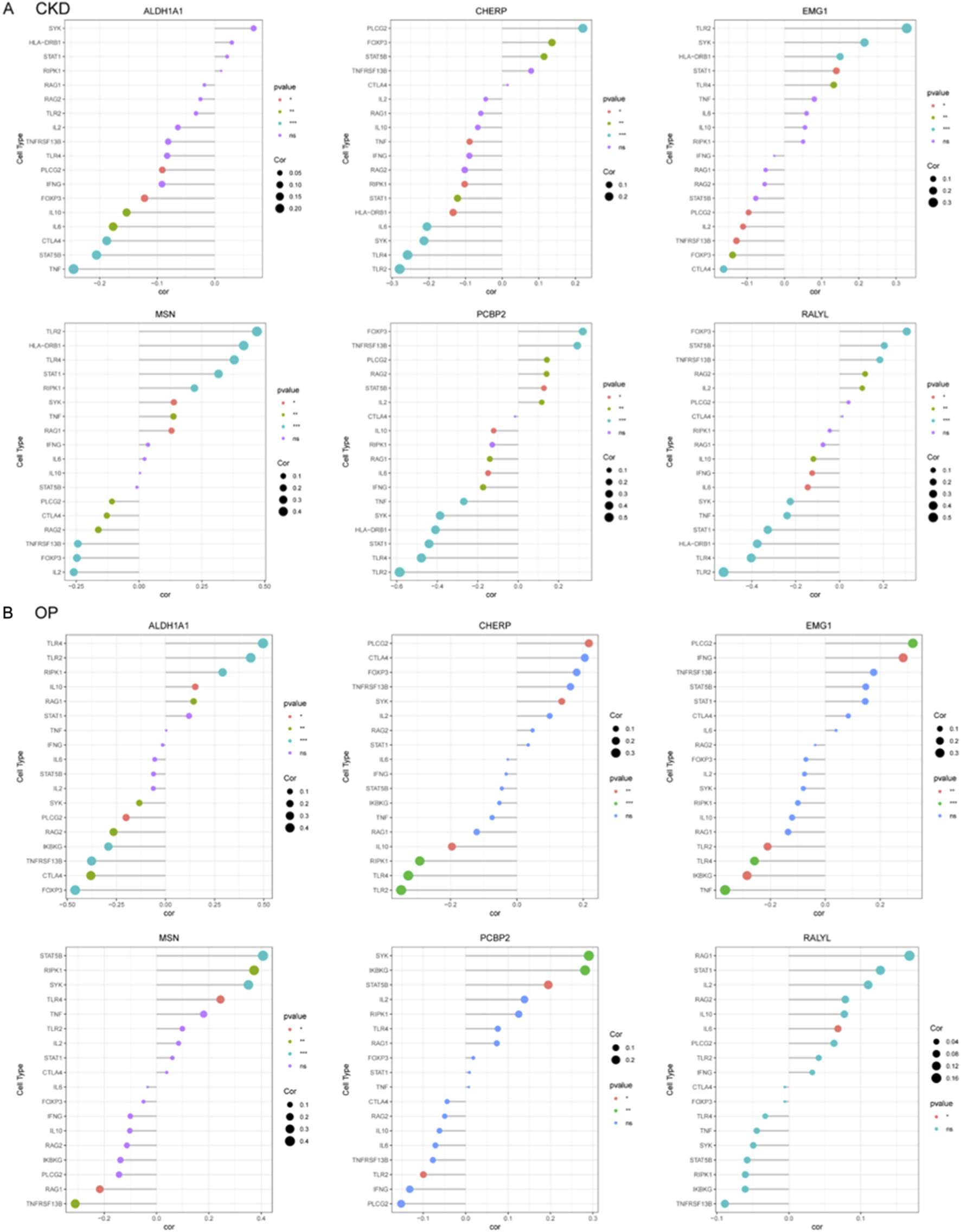 Two sets of six scatterplots displaying correlation (cor) between different cell types and genes (ALDH1A1, CHERP, EMG1, MSN, PCBP2, RALYL) for conditions CKD and OP. Each plot shows correlation values on the x-axis and cell types on the y-axis, with varying p-values and correlation strengths indicated by colored dots and size. Part A is labeled CKD, and Part B is labeled OP.