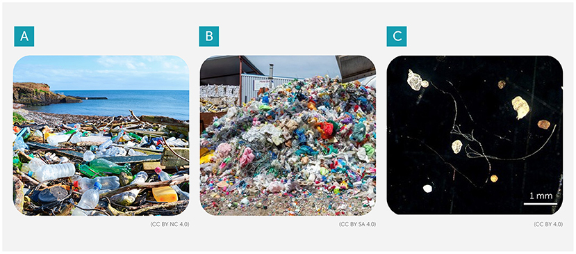 Image A shows a coastal area littered with various plastic waste, including bottles and containers, scattered along the shore. Image B depicts a large pile of mixed plastic waste, including bags and containers, at a landfill site. Image C presents a microscopic view of microplastics, small particles and fibers against a dark background, with a scale indicating one millimeter.