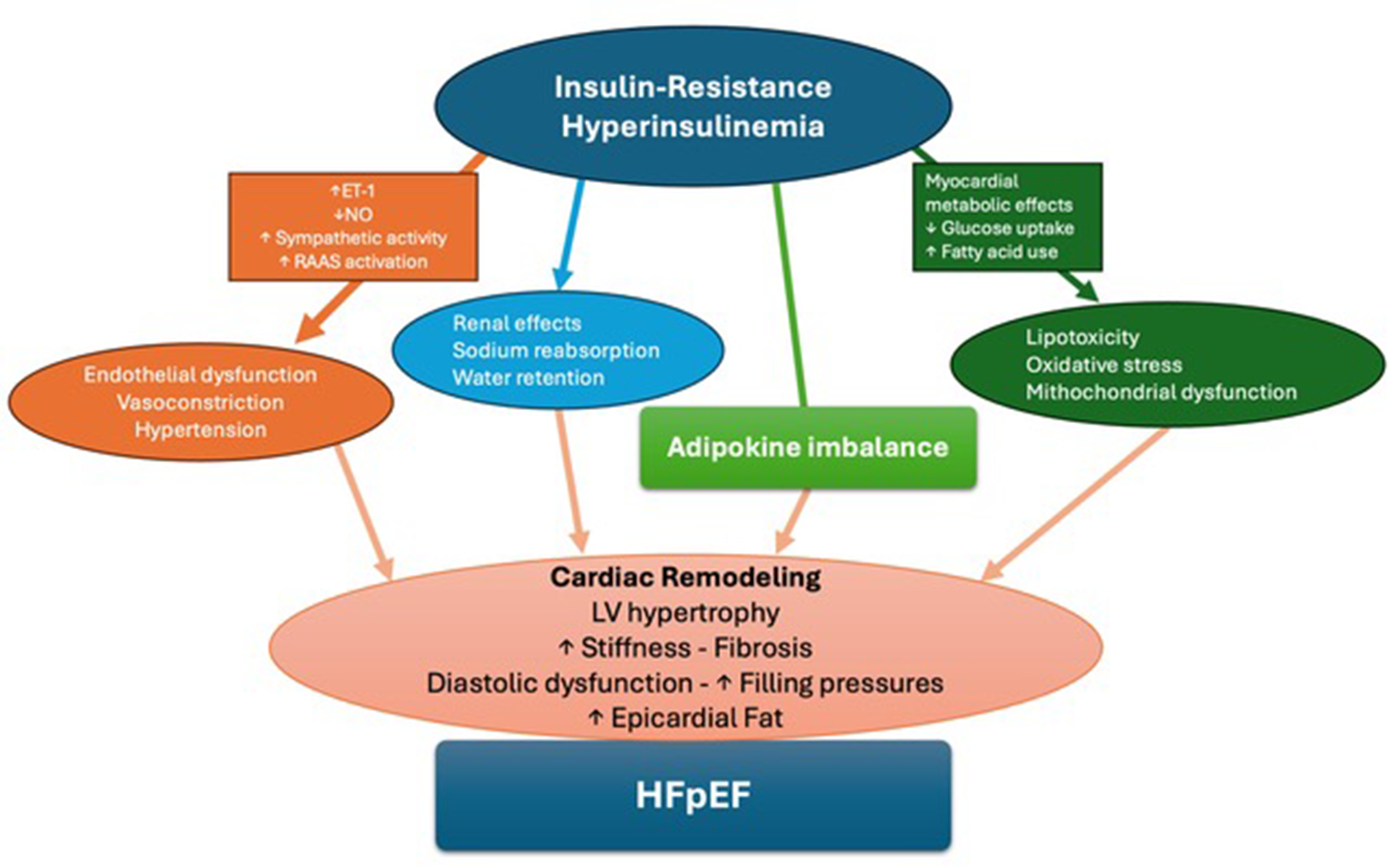 Flowchart illustrating the link between insulin-resistance and hyperinsulinemia with cardiac remodeling leading to heart failure with preserved ejection fraction (HFpEF). Key elements include endothelia dysfunction, adipokine imbalance, lipotoxicity, and myocardial metabolic effects, impacting renal, vascular, and cardiac functions.