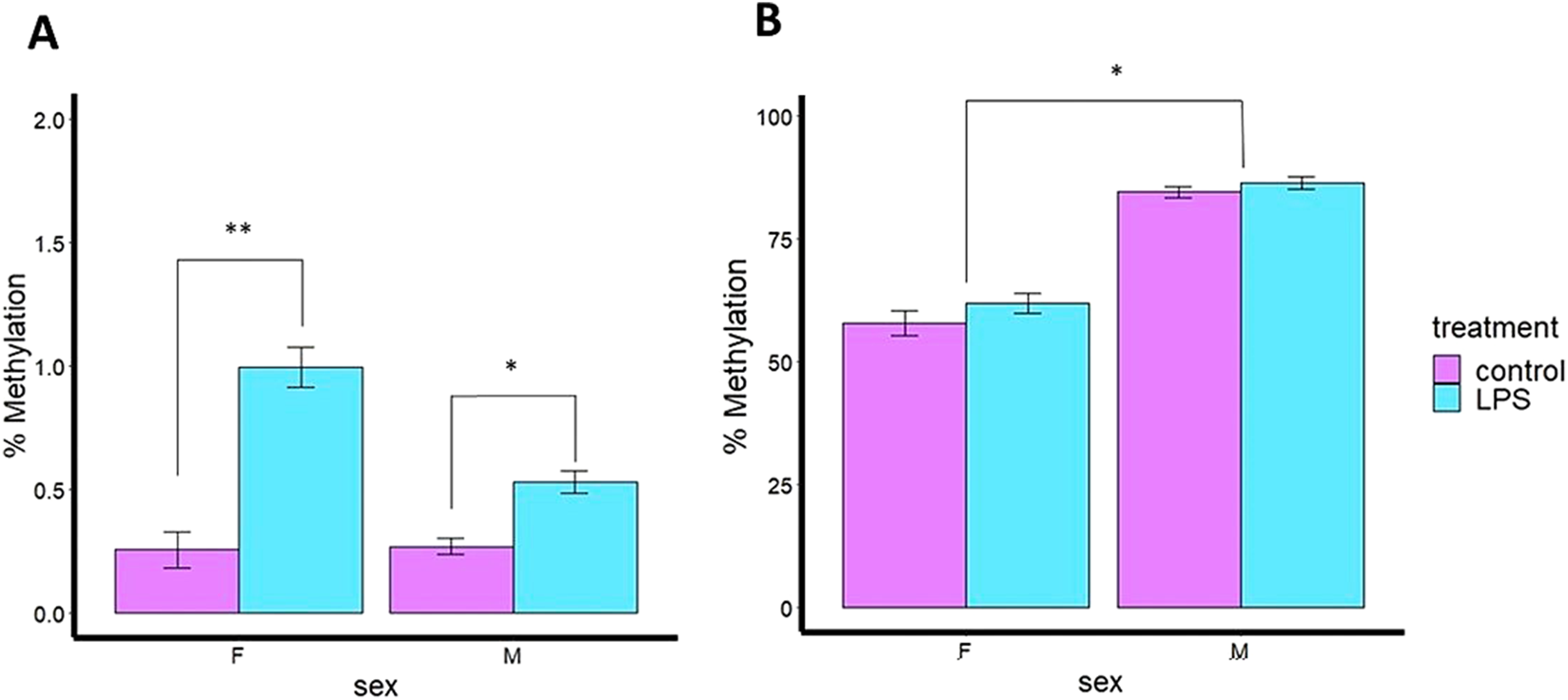 Bar graphs labeled A and B compare percentage methylation by treatment (control in purple and LPS in blue) and sex (F and M). Graph A shows higher methylation in LPS-treated samples for both sexes, with significant differences labeled. Graph B shows higher methylation levels in males, while similar methylation to that of the control were observed after immune stimulation in both sexes. Error bars are shown. F: female ; M: male