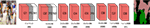 www.frontiersin.org