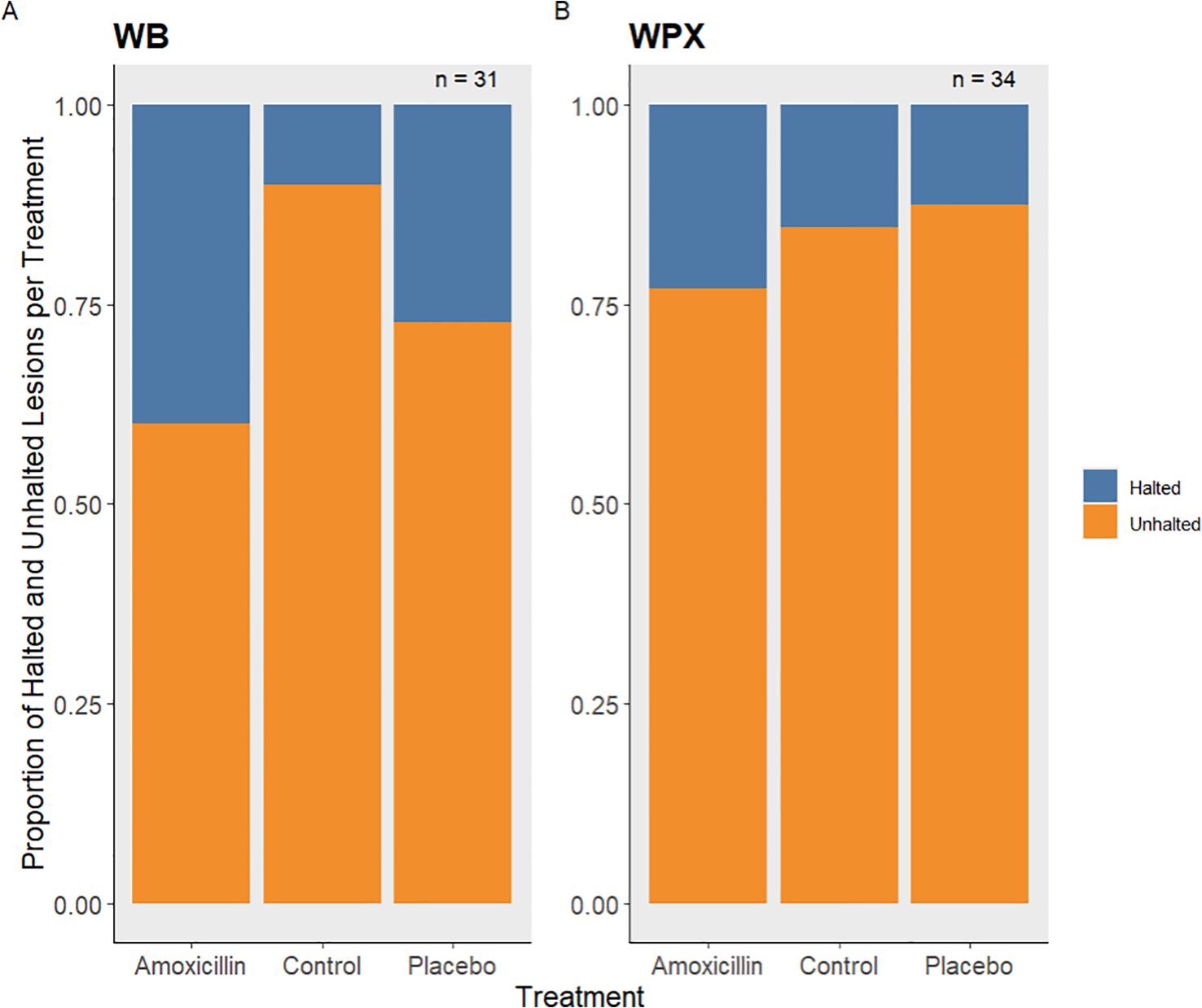 Bar graphs compare the proportions of halted and unhalted lesions across three treatments: Amoxicillin, Control, and Placebo. Graph A titled “WB” indicates more halted lesions with Amoxicillin. Graph B titled “WPX” shows fewer halted lesions overall, with similar patterns across all treatments. Blue represents halted, orange unhalted.