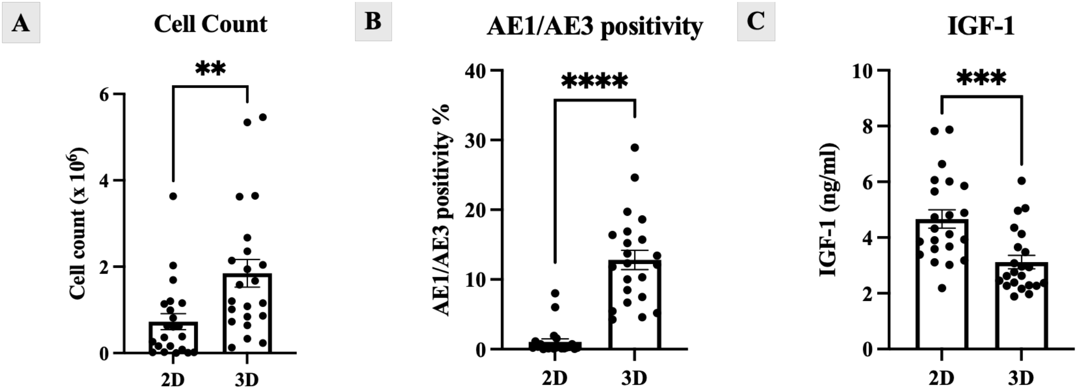Three bar graphs labeled A, B, and C compare 2D and 3D cell culture characteristics. Graph A shows cell count, with 3D cultures having significantly higher counts. Graph B illustrates AE1/AE3 positivity, higher in 3D cultures. Graph C displays IGF-1 levels, elevated in 3D cultures. Statistical significance is indicated by asterisks, with more stars denoting higher significance.
