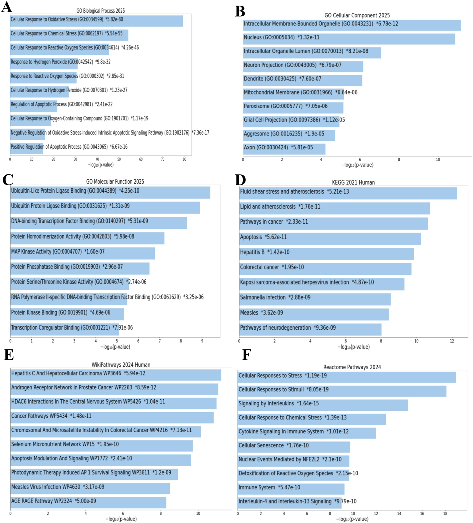 Six-panel scientific figure presenting bar graphs with enriched pathways or biological processes. Panels A to F display results for different pathway databases: GO Biological Process, GO Cellular Component, GO Molecular Function, KEGG Human, WikiPathways Human, and Reactome Pathways, respectively. Each bar represents a pathway or process term, labeled with its name, accession number, and p-value, plotted against the negative logarithm of the p-value, highlighting significant terms involved in stress response, apoptosis, signaling, and various cellular and disease pathways.