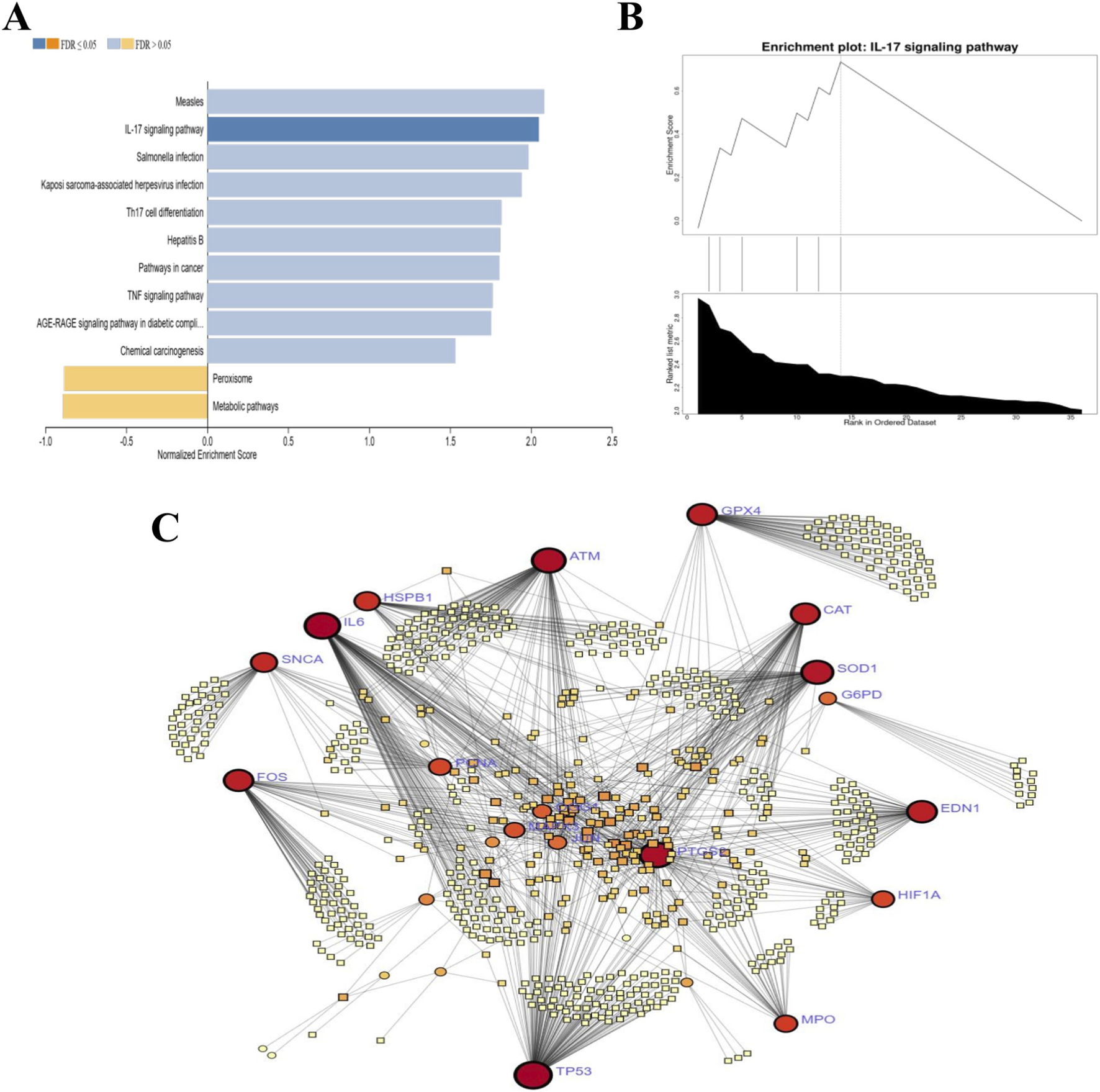 Panel A shows a horizontal bar chart of enriched biological pathways, color-coded by FDR value, with normalized enrichment scores ranging from approximately minus one to plus two point five; top pathways include measles and IL-17 signaling. Panel B presents an enrichment plot for the IL-17 signaling pathway, with a line graph of enrichment score above and a ranked gene list distribution below. Panel C displays a network diagram with large red circles denoting central genes, smaller orange and yellow squares representing connected genes, and lines indicating interactions between nodes.