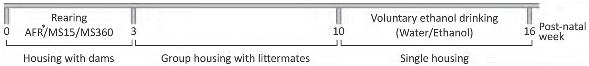 www.frontiersin.org