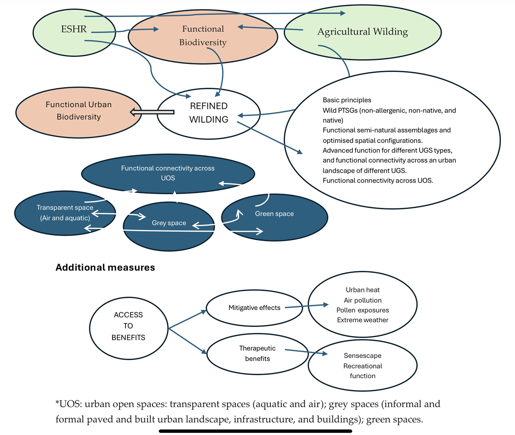 Flowchart depicting concepts of refined wilding, integrating ESHR, functional biodiversity, and agricultural wilding. It describes principles like non-allergenic plant species, functional connectivity across urban spaces, and optimized spatial configurations. Additional measures focus on access to benefits, including mitigative effects against urban heat, air pollution, extreme weather, and therapeutic benefits like sensescape and recreational functions. Arrowed connections illustrate relationships between concepts.