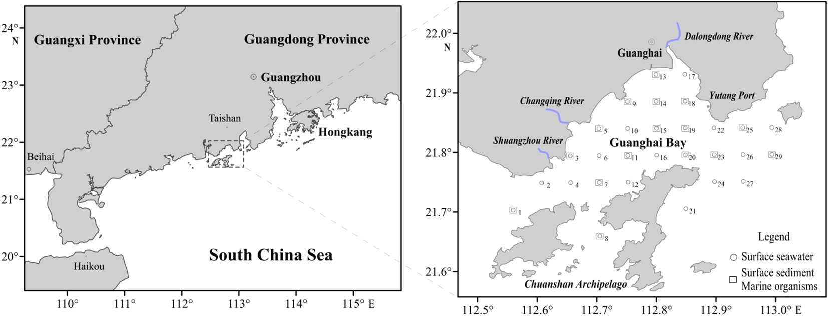 Map of regions along the South China Sea, highlighting parts of Guangxi and Guangdong Provinces. The map details surrounding areas like Taishan and Hong Kong, with a close-up of Guanghai Bay. Rivers such as Changqing, Shuangzhou, and Dalongdong are marked. The legend indicates locations of surface seawater, surface sediment, and marine organisms.