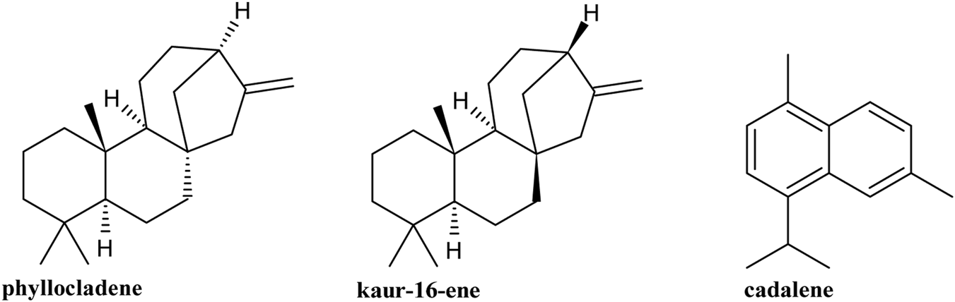 Chemical structures of phyllocladene, kaur-16-ene, and cadalene. Phyllocladene and kaur-16-ene are diterpenes, each with three fused cyclohexane rings and a side chain. Cadalene is a sesquiterpene with two fused benzene rings and a simple side chain.