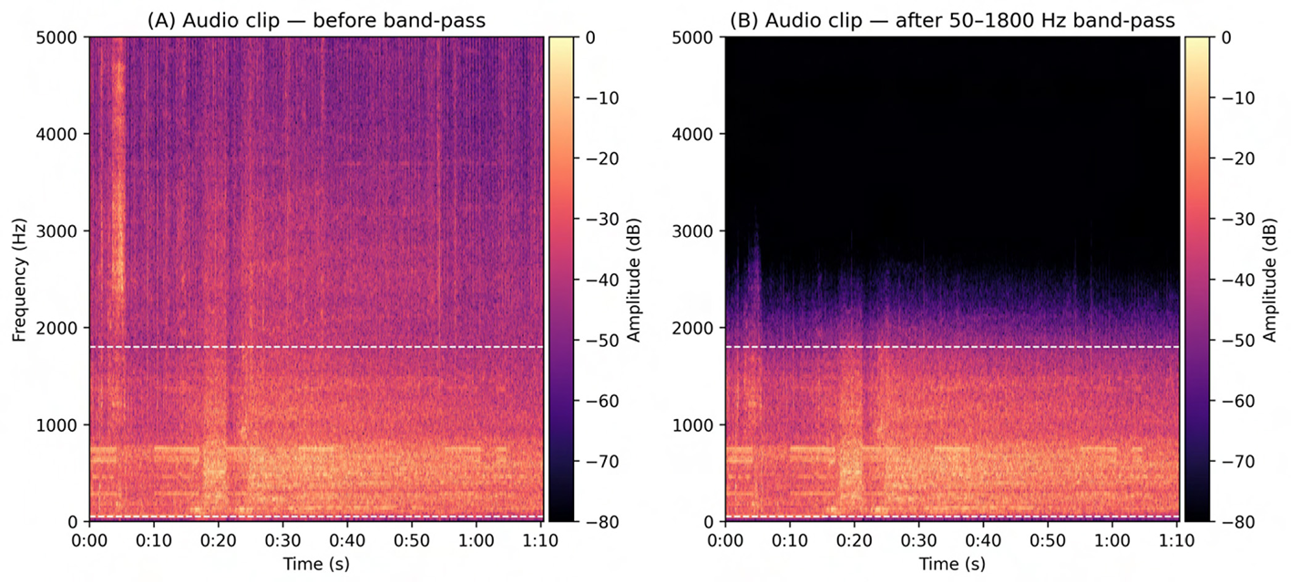 Two spectrogram panels illustrate the effect of band-pass filtering on an audio clip. Panel A shows the unfiltered signal, with broadband spectral energy that includes low-frequency hum and high-frequency hiss spread across the frequency range. Panel B shows the same clip after applying a 50–1,800 Hz band-pass filter, where energy below 50 Hz and above 1.8 kHz is strongly attenuated while harmonic structure within the passband is preserved. Dashed lines indicate the filter limits. Both panels use identical time and frequency axes up to 5 kHz and share a common decibel color scale for direct comparison.