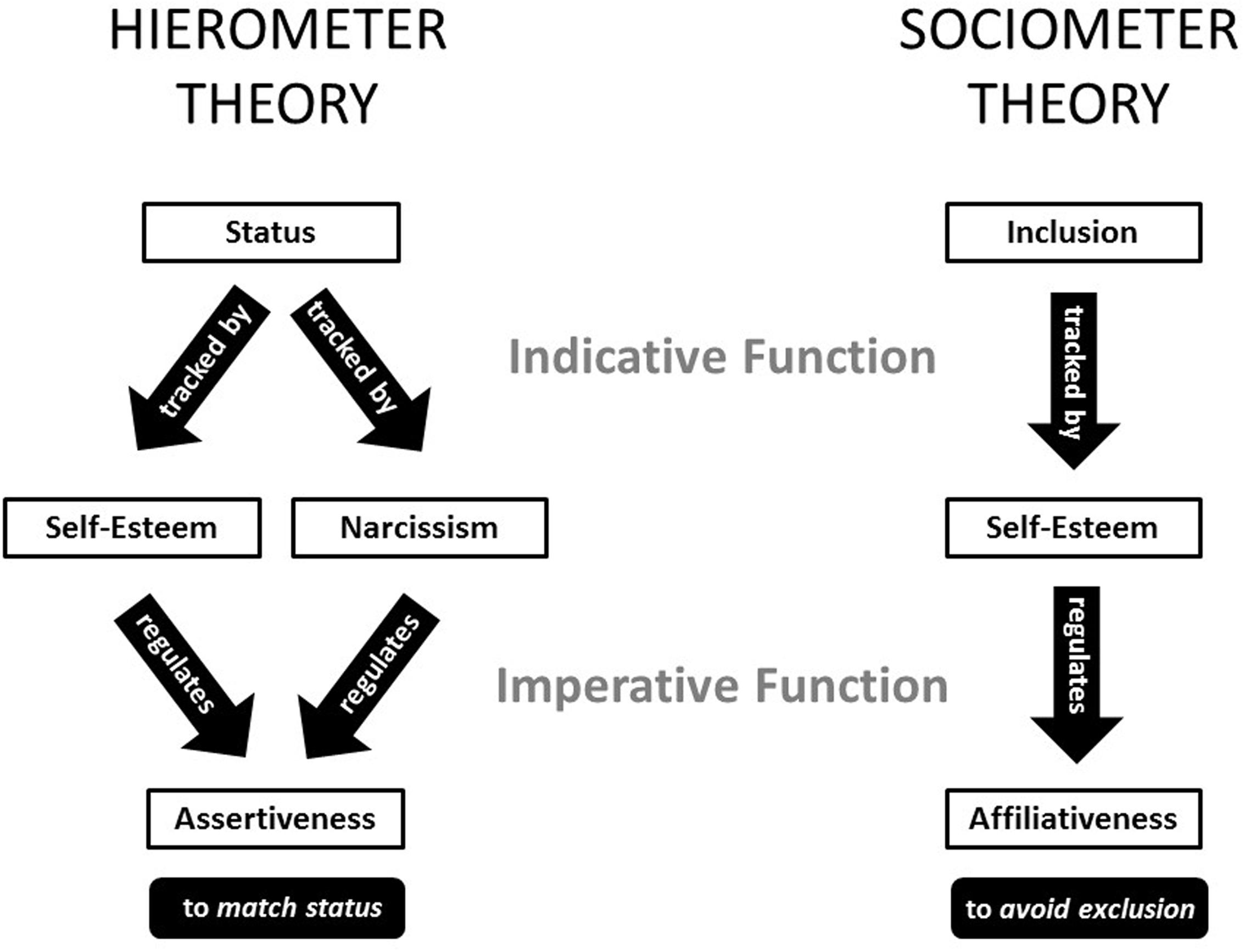 definition of sociometer hypothesis