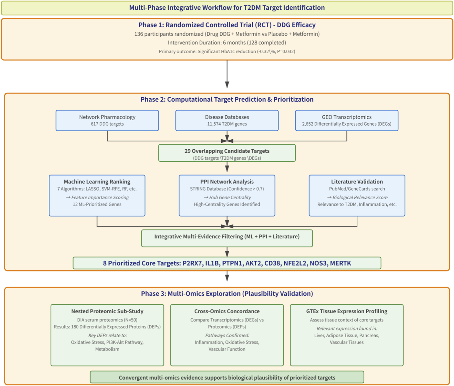 Multi-phase integrative workflow diagram for T2DM target identification. Phase 1 involves a randomized controlled trial with 136 participants focusing on DDG efficacy, showing significant HbA1c reduction. Phase 2 includes computational target prediction with 29 overlapping candidate targets identified through network pharmacology, disease databases, and GEO transcriptomics. Processes involve machine learning ranking, PPI network analysis, and literature validation, resulting in eight prioritized core targets: P2RX7, IL1B, PTPN1, AKT2, CD38, NFE2L2, NOS3, MERTK. Phase 3 emphasizes multi-omics exploration, nested proteomic sub-study, cross-omics concordance, and GTEx tissue expression profiling, ensuring biological plausibility.