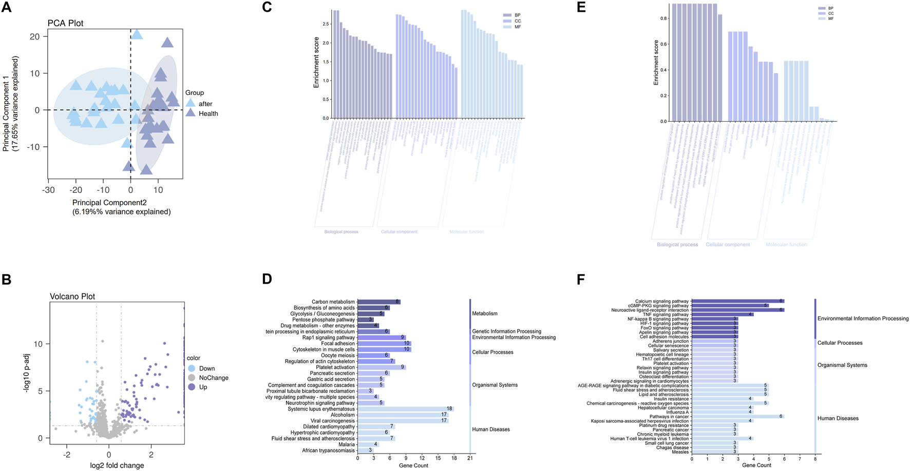 Panel A shows a PCA plot with two groups: "after" and "Health," represented by blue triangles. Panel B is a volcano plot indicating gene expression changes with colors showing downregulated, unchanged, and upregulated genes. Panel C presents enrichment scores in bar charts for biological processes, cellular components, and molecular functions. Panel D details pathways related to metabolism and diseases, with gene counts. Panel E contains enrichment scores for GO terms categorized similarly to Panel C. Panel F lists environmental and disease-related pathways with corresponding gene counts.