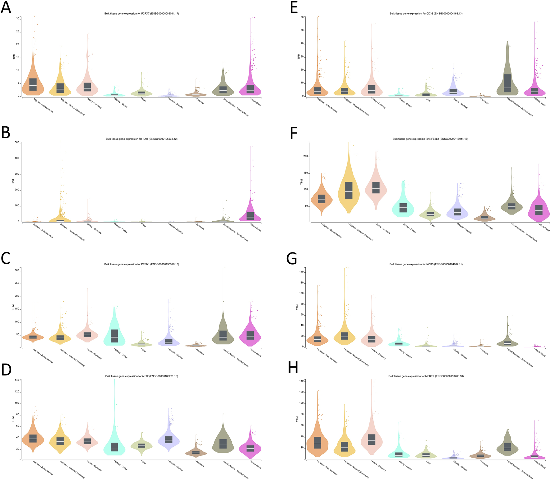 Violin plots labeled A to H show bulk tissue gene expression for different genes, including PMCH, LPL, PTGDS, AVP, CD209, WFDC2, NOS3, and AZGP1 across several organs like brain, testis, and liver. TPM values are on the y-axis, indicating gene expression levels, with varying widths reflecting data distribution.