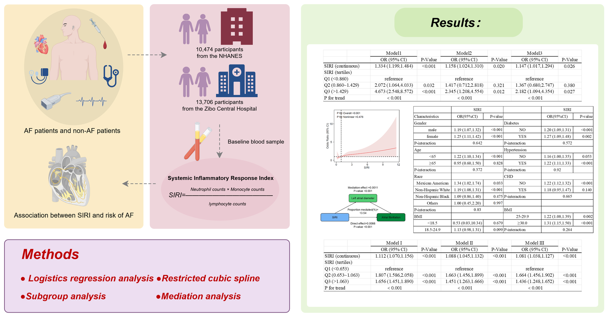 Illustration depicting a study design and results related to the association between Systemic Inflammatory Response Index (SIRI) and atrial fibrillation (AF). The left section outlines the study's participants: 10,474 from NHANES and 13,706 from Zibo Central Hospital. A baseline blood sample is analyzed for SIRI (neutrophil and monocyte counts over lymphocyte counts). The right section presents statistical results from logistic regression, restricted cubic spline, and mediation analysis. The results show odds ratios concerning SIRI's impact on AF risk, with variables like gender, diabetes, and age considered. Methods include logistics regression, restricted cubic spline, subgroup, and mediation analysis.