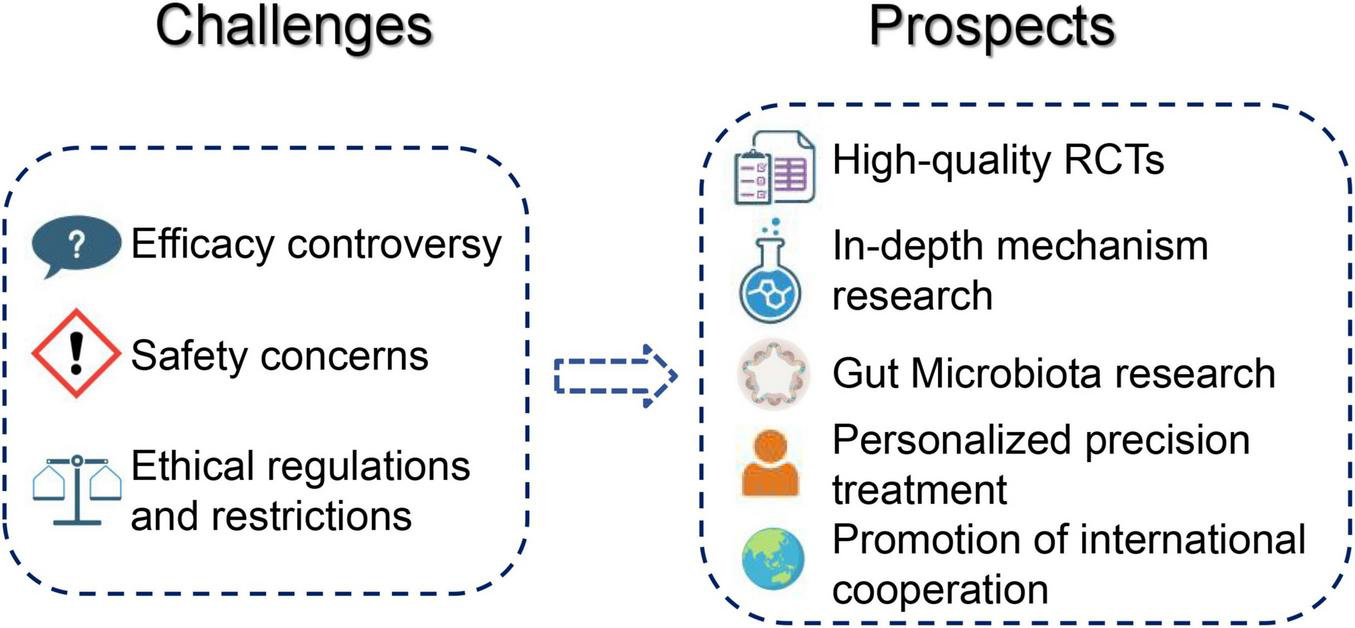 Flowchart illustrating the theoretical basis, therapeutic mechanisms, and clinical applications of acupuncture and moxibustion for chronic fatigue syndrome (CFS). Theoretical basis includes holistic concept and meridian theory addressing qi and blood disharmony. Therapeutic mechanisms involve unblocking meridians, harmonizing qi and blood, and balancing yin and yang. Clinical applications highlight outcomes such as improved fatigue scores, quality of life, and individualized treatment.