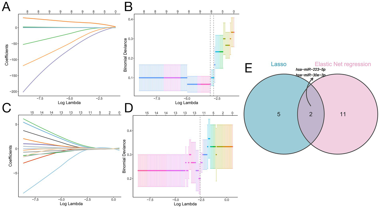 Five plots show statistical analysis results. Plot A and C show coefficient paths over log lambda for Lasso and Elastic Net regression with multiple colored lines. Plot B and D display binomial deviance over log lambda with colored intervals. Plot E is a Venn diagram comparing Lasso and Elastic Net, showing two shared elements and individual unique elements in each method.