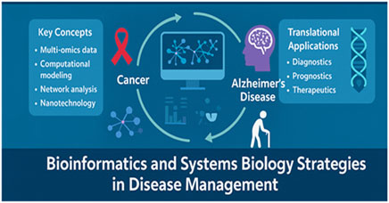 Bioinformatics and systems biology strategies for managing cancer and Alzheimer's disease. Key concepts include multi-omics data, computational modeling, network analysis, and nanotechnology. Translational applications cover diagnostics, prognostics, and therapeutics. Arrows suggest a circular process between concepts and applications.