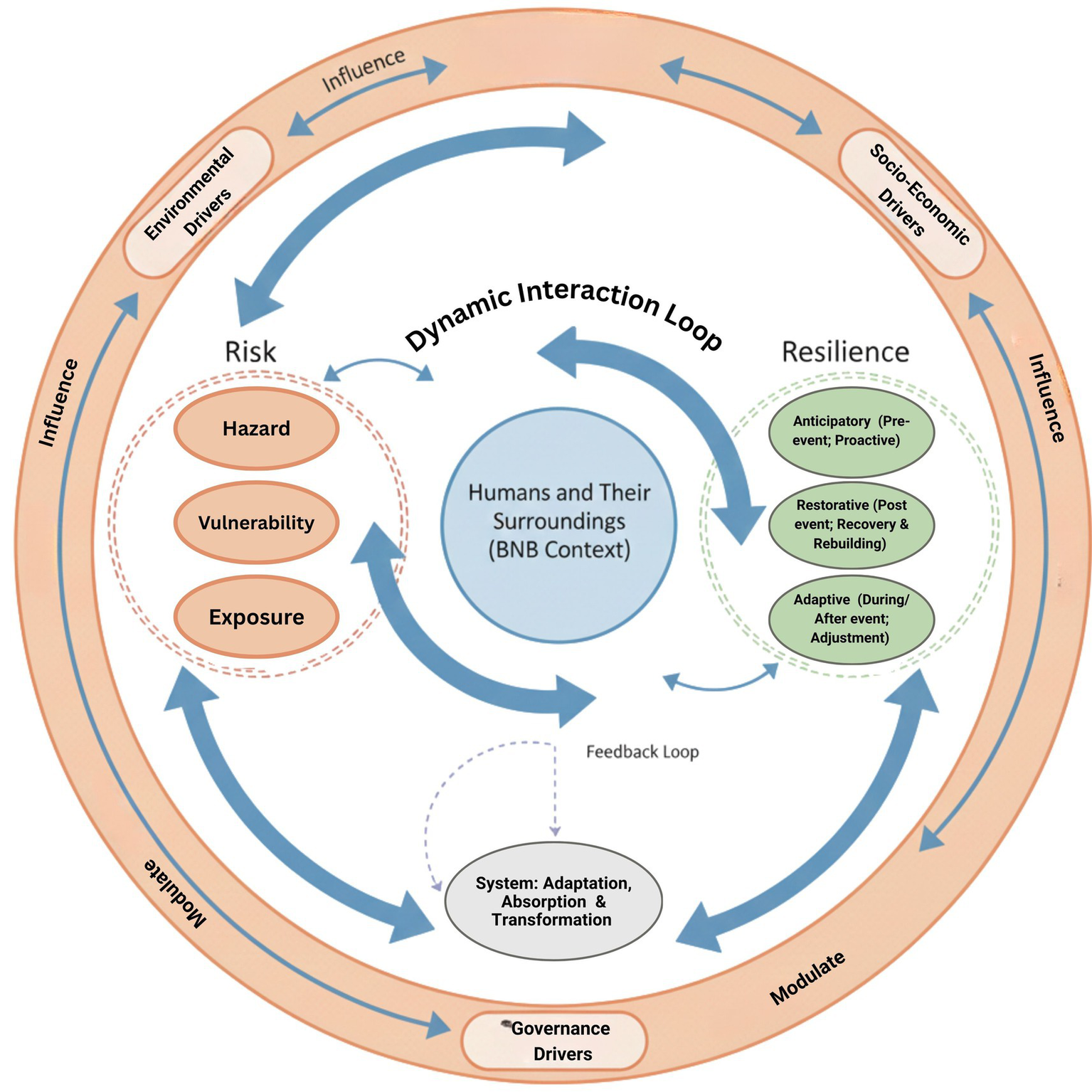 Diagram illustrating a dynamic interaction loop between humans and their surroundings. The cycle includes risk factors like hazard, vulnerability, and exposure, along with resilience strategies: anticipatory, restorative, and adaptive. Environmental, socio-economic, and governance drivers influence and modulate the system, which adapts, absorbs, and transforms based on feedback loops.