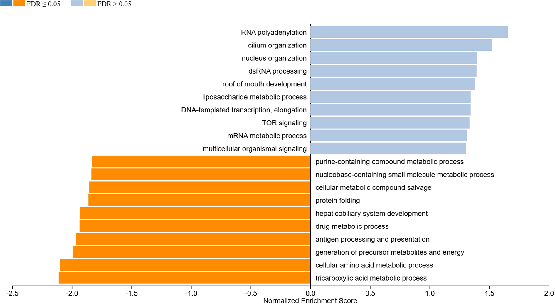Horizontal bar chart of Gene Ontology enrichment of biological processes with positive and negative normalized enrichment scores (NES). Blue bars indicate processes with positive NES, including RNA polyadenylation and TOR signaling, while orange bars on the left, include protein folding and tricarboxylic acid metabolic process. The x-axis represents normalized enrichment scores ranging from -2.5 to 2.0. Dark blue or dark orange bars indicate a significant over-represented term (FDR less than or equal to 0.05).