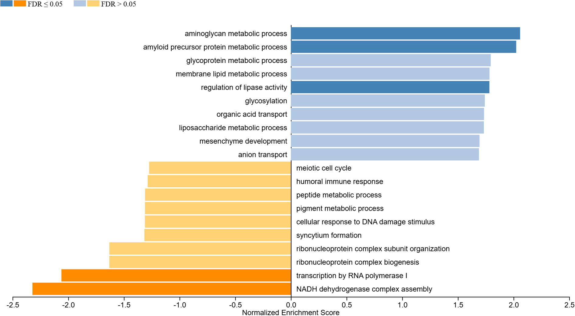 Horizontal bar chart of Gene Ontology enrichment of biological processes with positive and negative normalized enrichment scores (NES). Blue bars indicate processes with positive NES, including aminoglycan metabolic activity, while orange bars on the left, include NADH dehydrogenase complex assembly. The x-axis represents normalized enrichment scores ranging from -2.5 to 2.5. Dark blue or dark orange bars indicate a significant over-represented term (FDR less than or equal to 0.05).