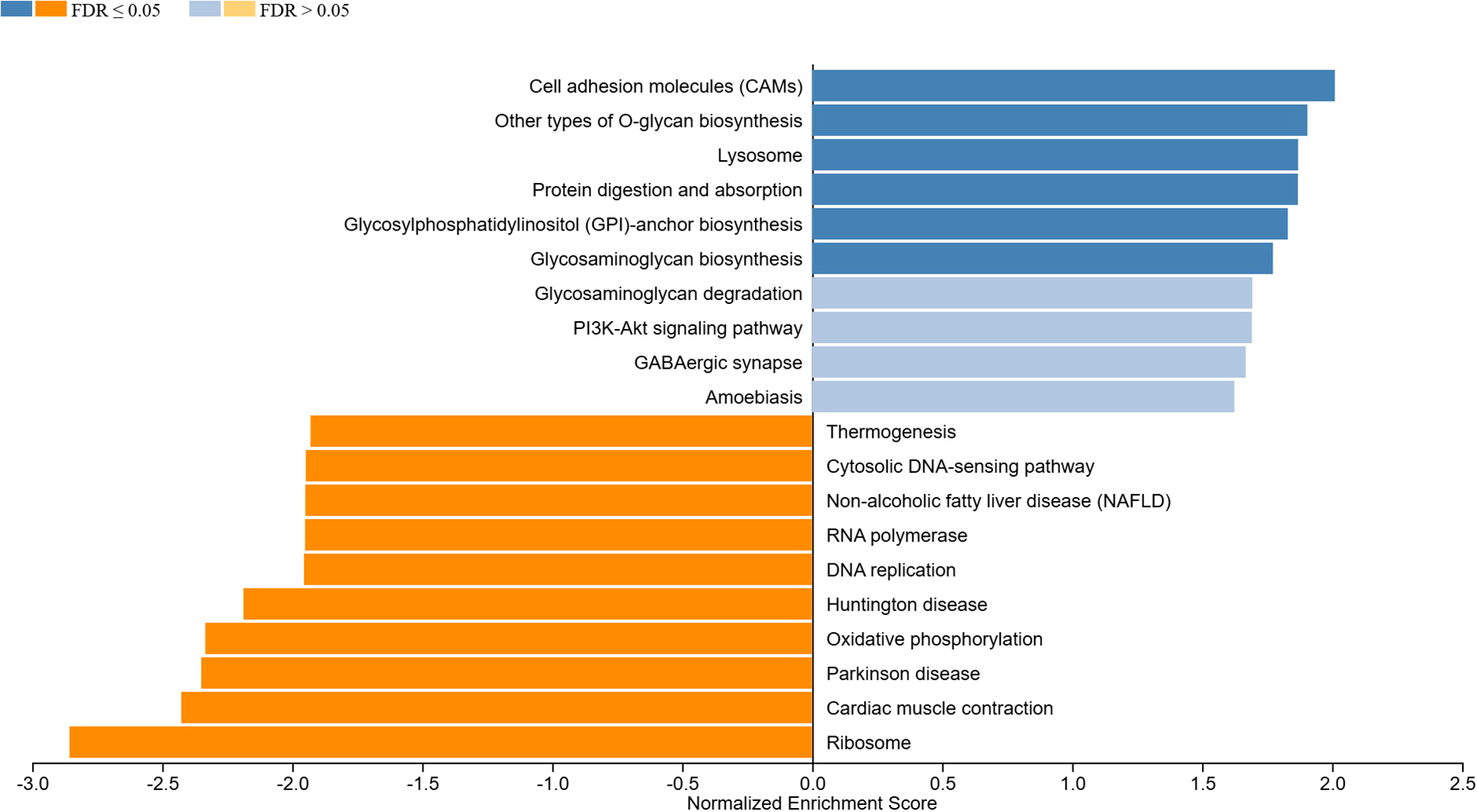 Horizontal bar chart of normalized enrichment scores for various KEGG pathways with positive and negative normalized enrichment scores (NES). Blue bars indicate processes with positive NES, including cell adhesion molecules and lysosome. Orange bars on the left, include thermogenesis and DNA replication. The x-axis represents normalized enrichment scores ranging from -3.0 to 2.5. Dark blue or dark orange bars indicate a significant over-represented term (FDR less than or equal to 0.05).
