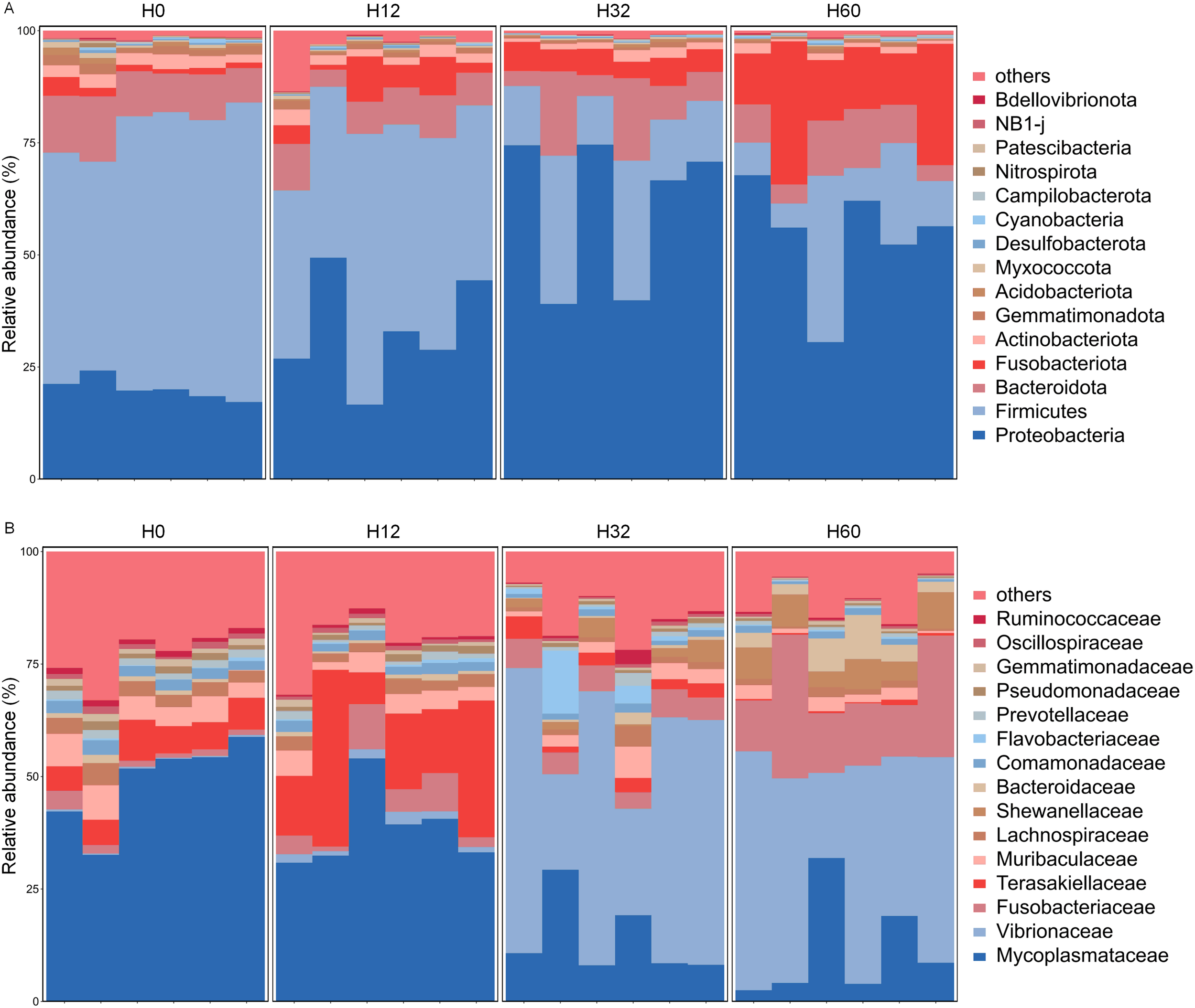 Two stacked bar charts labeled A and B show the relative abundance of microbial taxa over different time points: H0, H12, H32, and H60. Chart A displays various bacterial phyla, including Proteobacteria, Firmicutes, and others, indicated by different colors. Chart B illustrates bacterial families like Ruminococcaceae and Bacteroidaceae with different colors. Time points are shown on the x-axis, and abundance percentage on the y-axis, depicting shifts in microbial composition over time. A legend identifies each bacterial group by color.