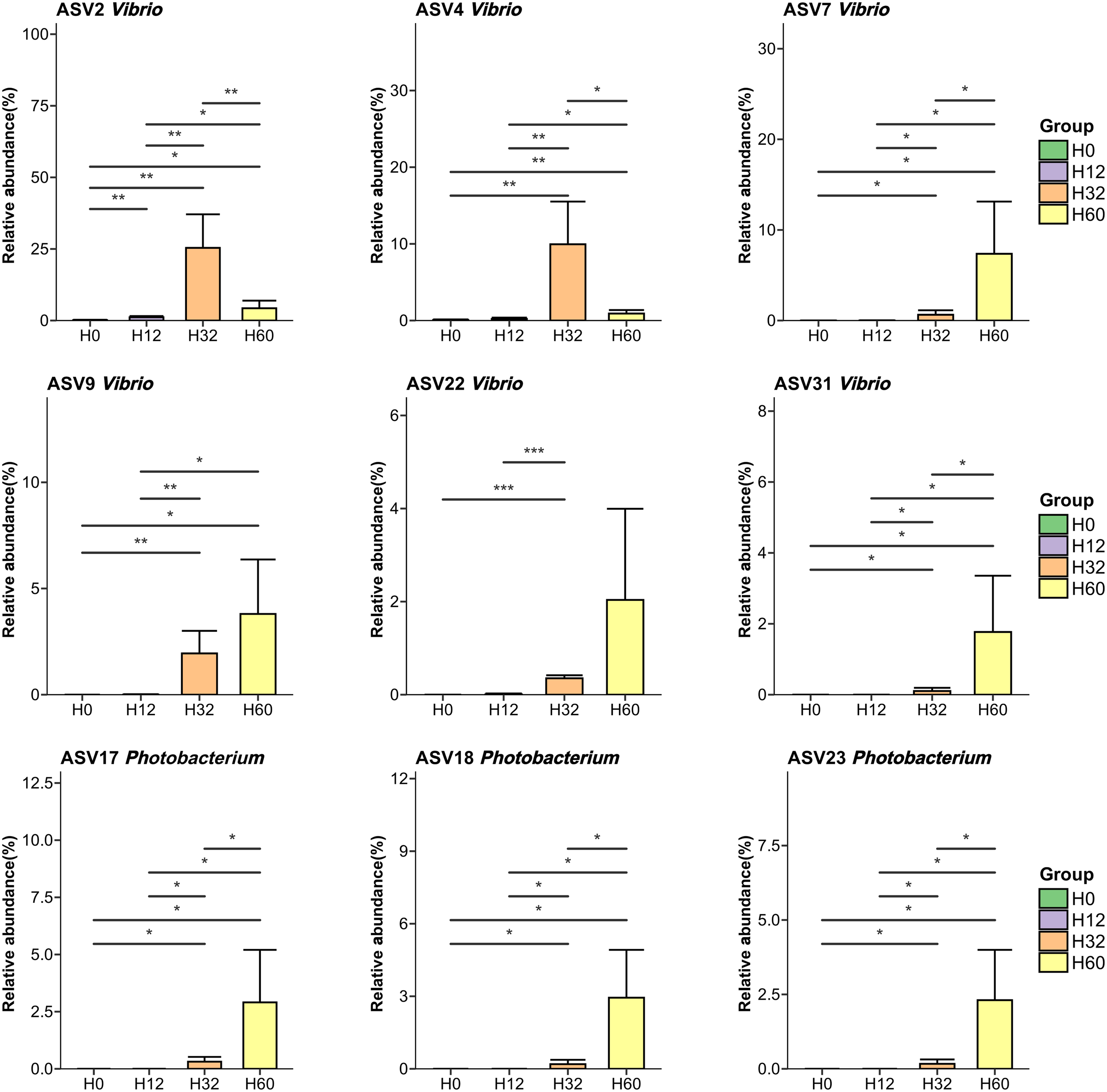 Bar charts display the relative abundance percentages of ASV Vibrio and Photobacterium across groups H0, H12, H32, and H60. The significant differences are marked with asterisks, indicating varying statistical relevance. Each chart shows increasing trends in abundance from H0 to H60.