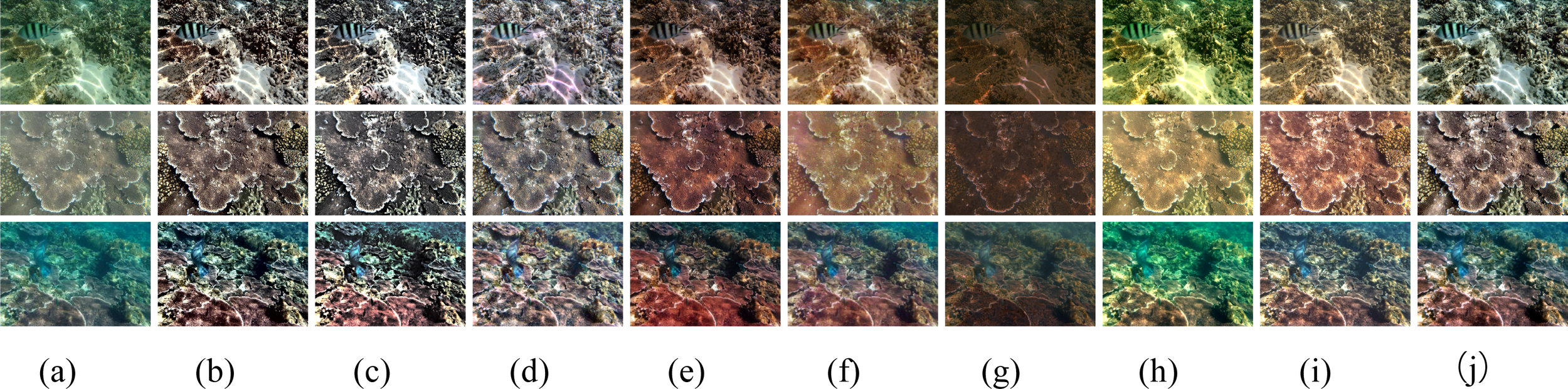Ten-panel image showing underwater scenes of coral reefs and fish. Panels (a) through (j) display varying levels of color saturation and lighting effects across three rows. Each row features a consistent underwater landscape with subtle differences in color tones and visibility, highlighting the coral structures and presence of fish.