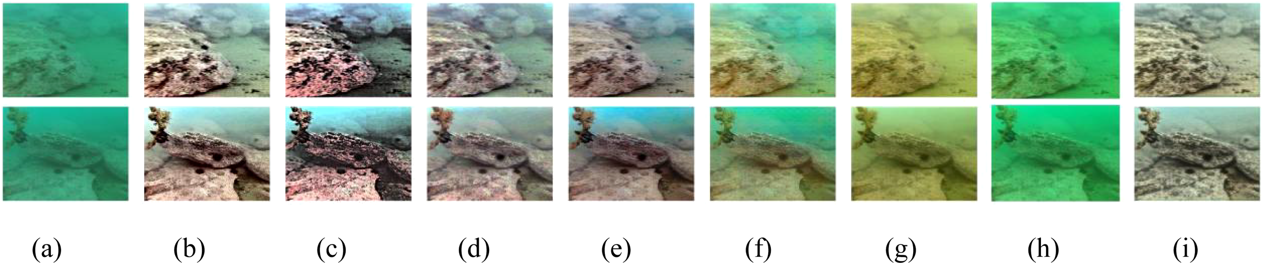 Nine underwater images of a rocky sea bed are shown in a grid with variations in color and clarity. Each row has a different image focus or processing. The top row displays images labeled (a) to (i) from left to right. The bottom row corresponds to these images, each showing subtle differences in contrast and color balance, possibly depicting different stages or methods of image enhancement.