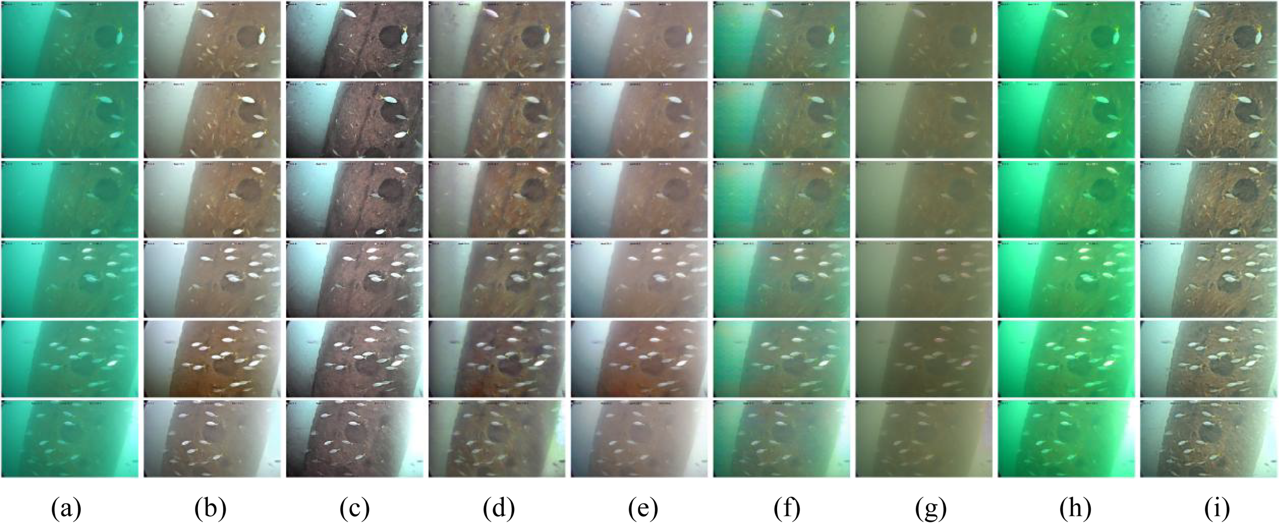 Nine sets of underwater images show a cylindrical object with marine life, varying in lighting and clarity. Panels (a) to (i) illustrate different conditions with visible fish and plant life around the object, progressing from clearer to murkier visibility.