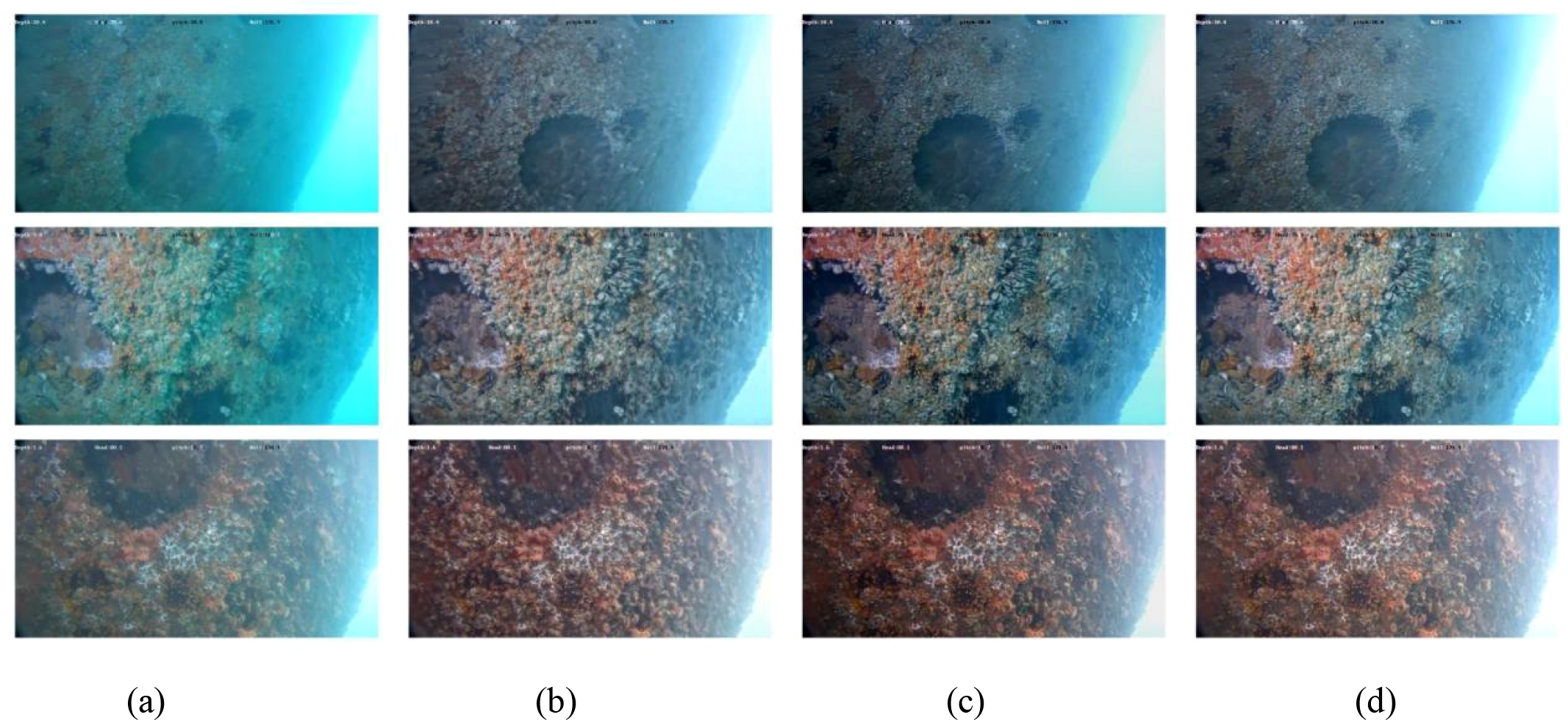 Underwater images of a coral-encrusted surface taken from different angles and lighting. Each row shows closer views, highlighting a circular patch without coral. The composition remains consistent across the grid of panels labeled (a), (b), (c), and (d), showing variations in texture and color intensity.