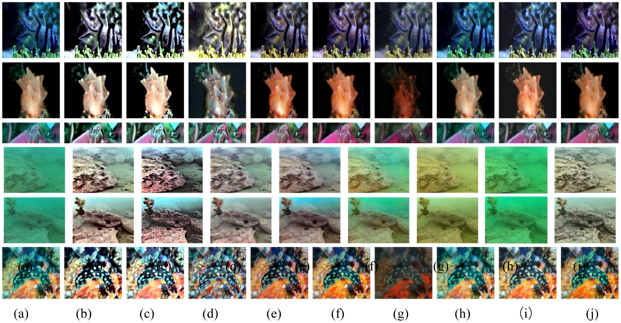 A series of images showing ten color-enhanced underwater scenes arranged in two rows. Each column represents a distinct color treatment with varying hues and contrasts, showcasing marine life such as fish and coral across different perspectives. Each image variation is labeled from (a) to (j).