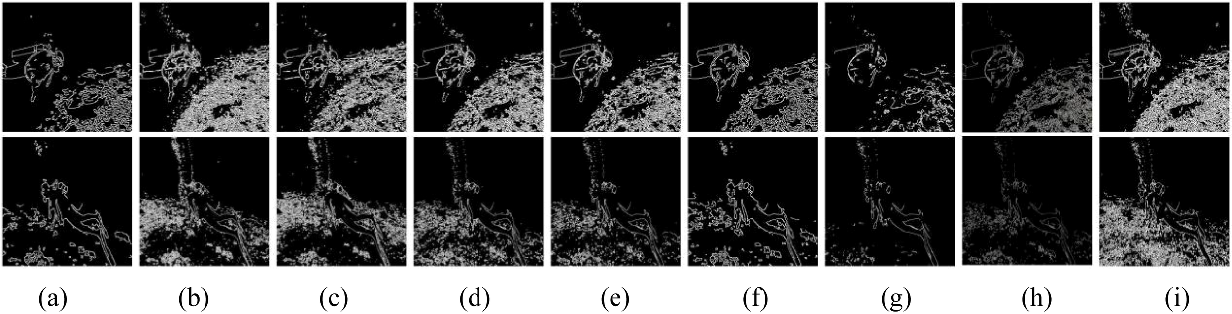 Nine images labeled (a) to (i) show underwater scenes with a diver and coral reef outlines in white against a black background. Each image highlights varying details of the underwater environment.
