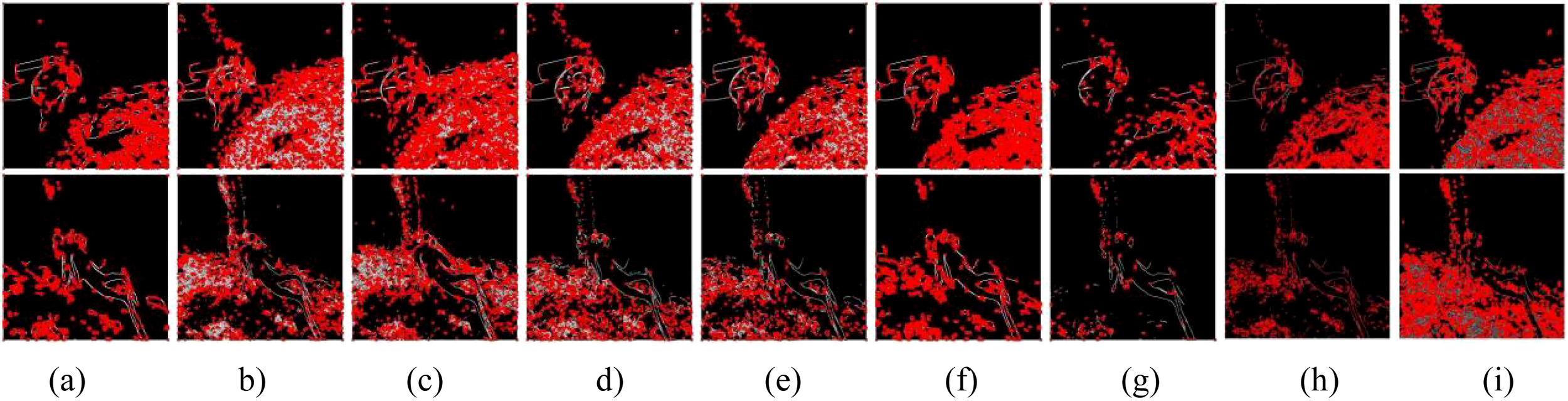 A grid of images labeled from (a) to (i), each displaying red and white abstract patterns on a black background. The patterns appear textured and vary in density and form across each panel.