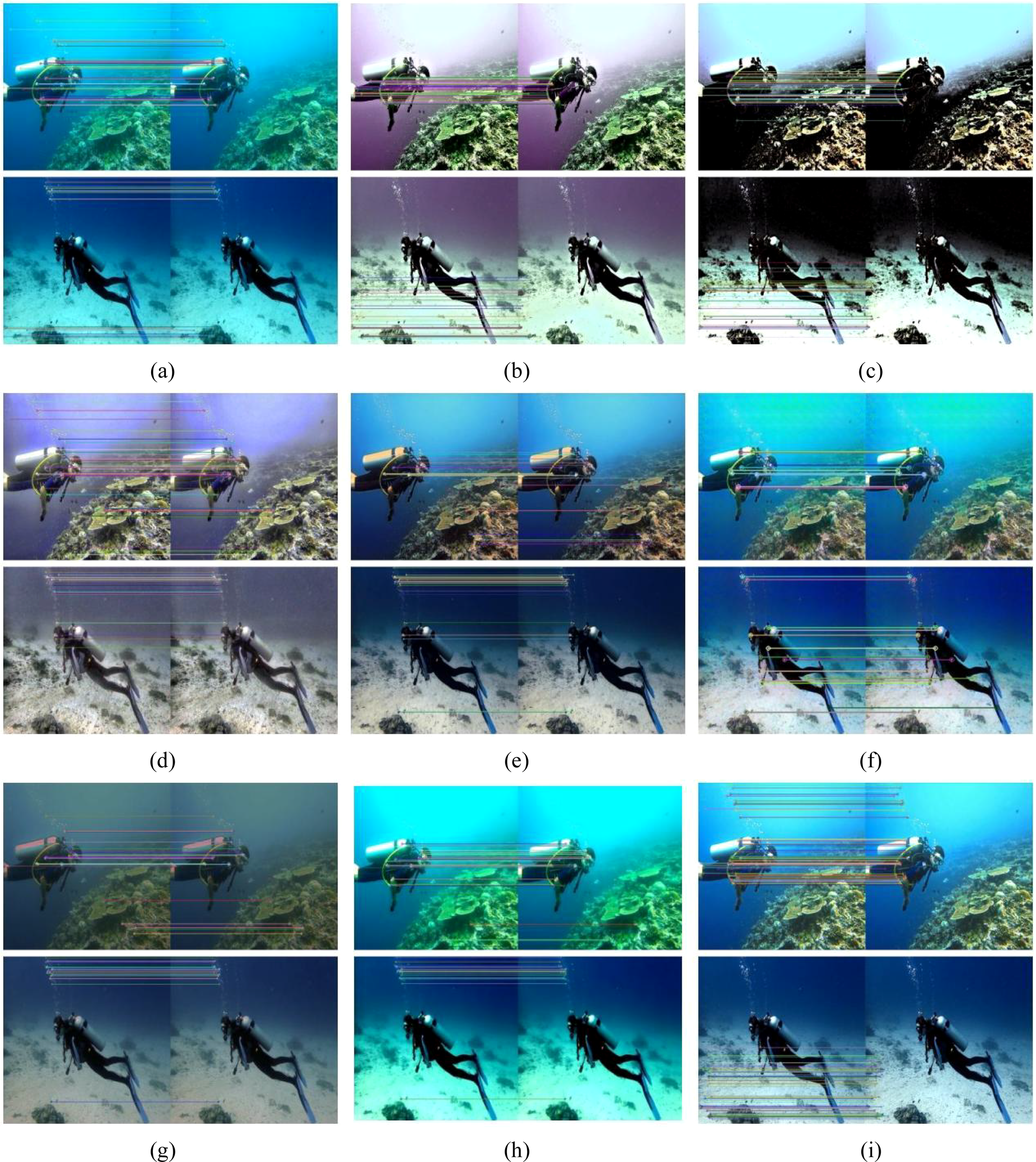 Nine panel collage showing variations of a scuba diver swimming underwater near a coral reef. Each panel ((a) to (i)) presents different color effects and visual distortions, such as horizontal lines, color changes, and alterations in lighting. The diver is consistently in a wetsuit with a tank, surrounded by marine life.