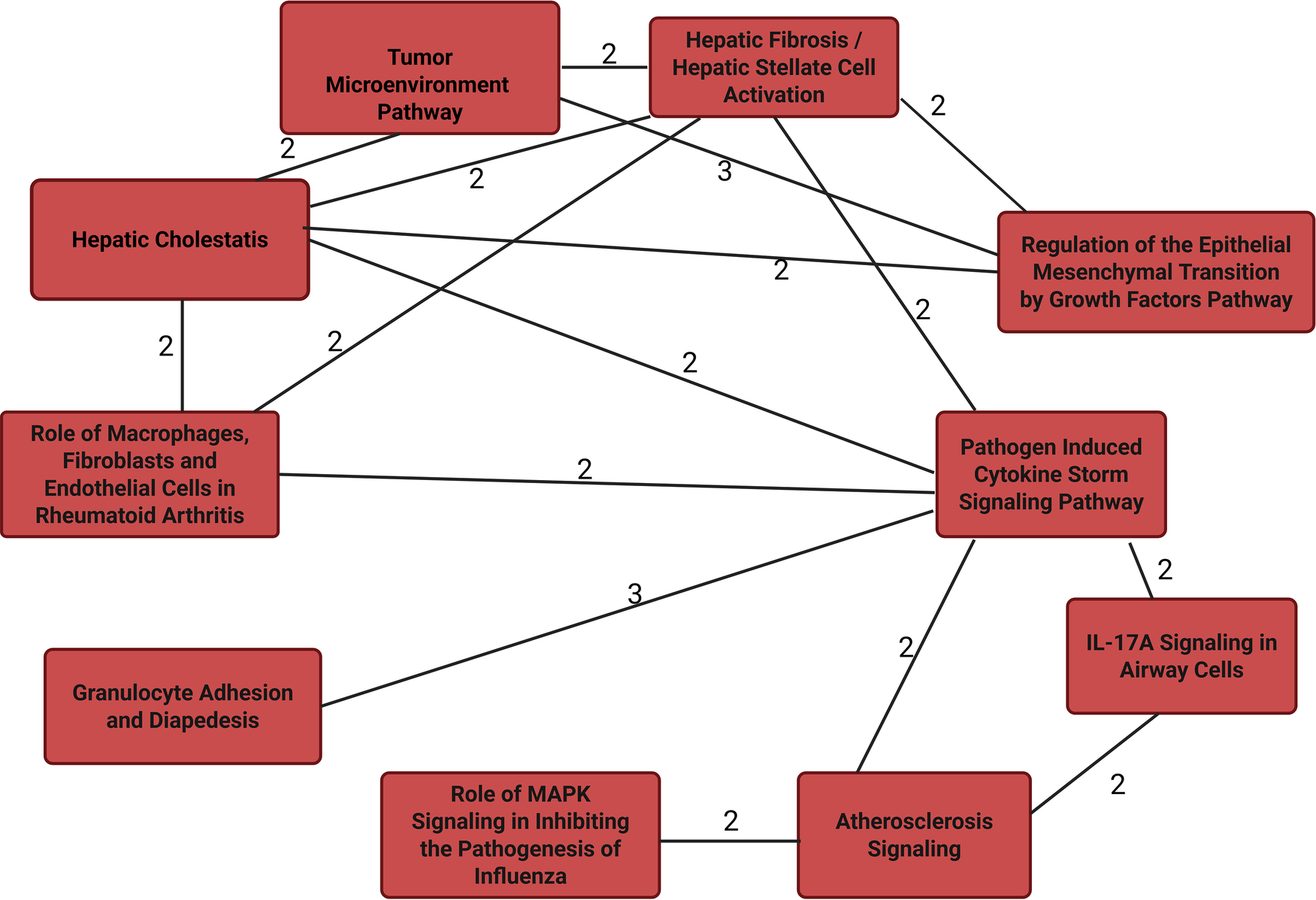 Flowchart showing interconnections among various biological pathways, depicted in red rectangles. Paths include Tumor Microenvironment, Hepatic Cholestasis, Hepatic Fibrosis, and others. Lines labeled with the number two or three indicate connections between the pathways.